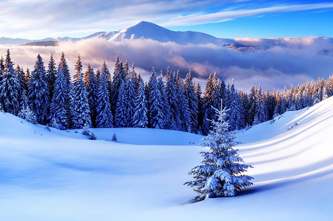 Wallpaper Nature Spruce Winter mountain Snow Scenery Trees