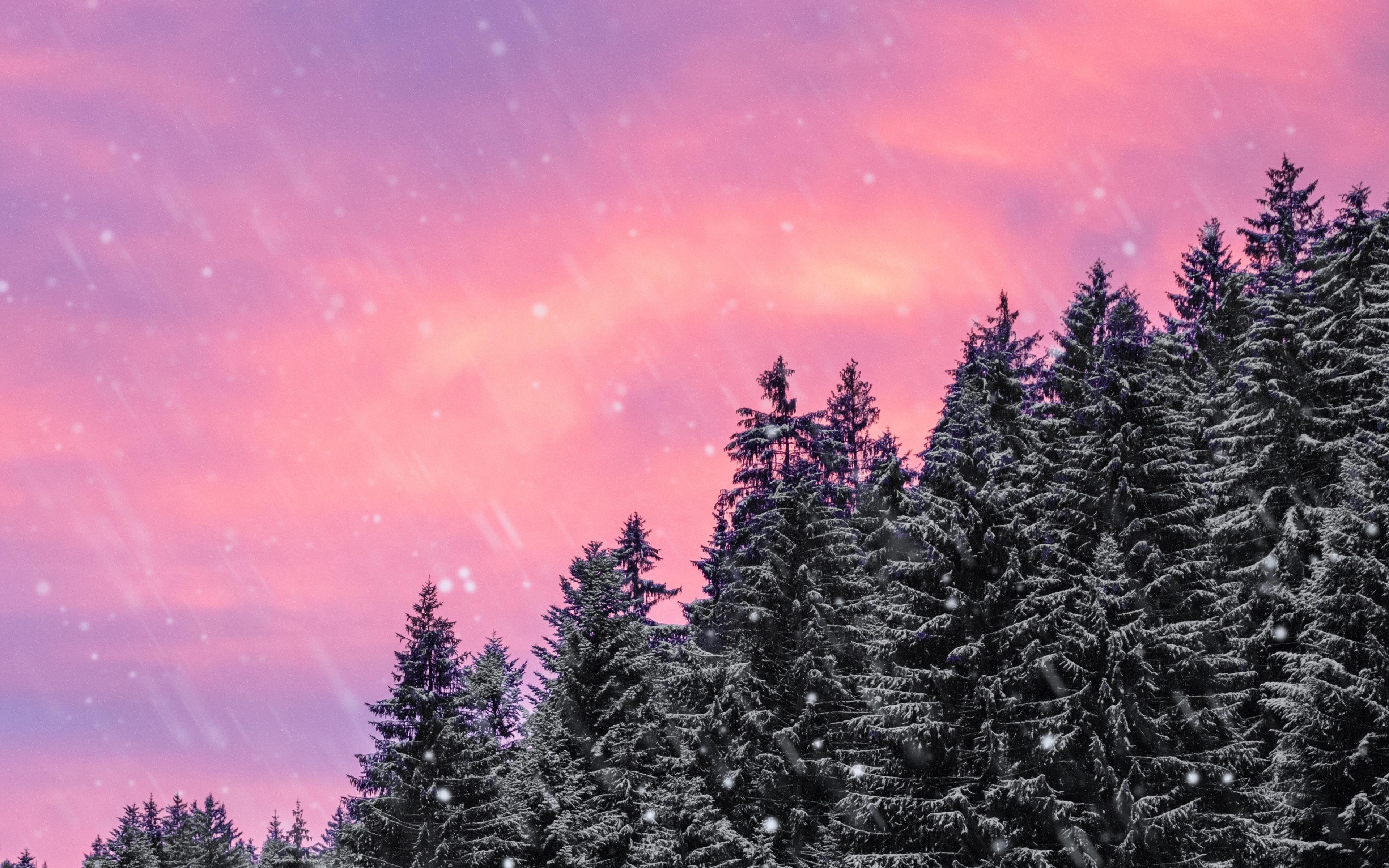 Download wallpaper 3840x2400 spruce, snow, snowfall, sky