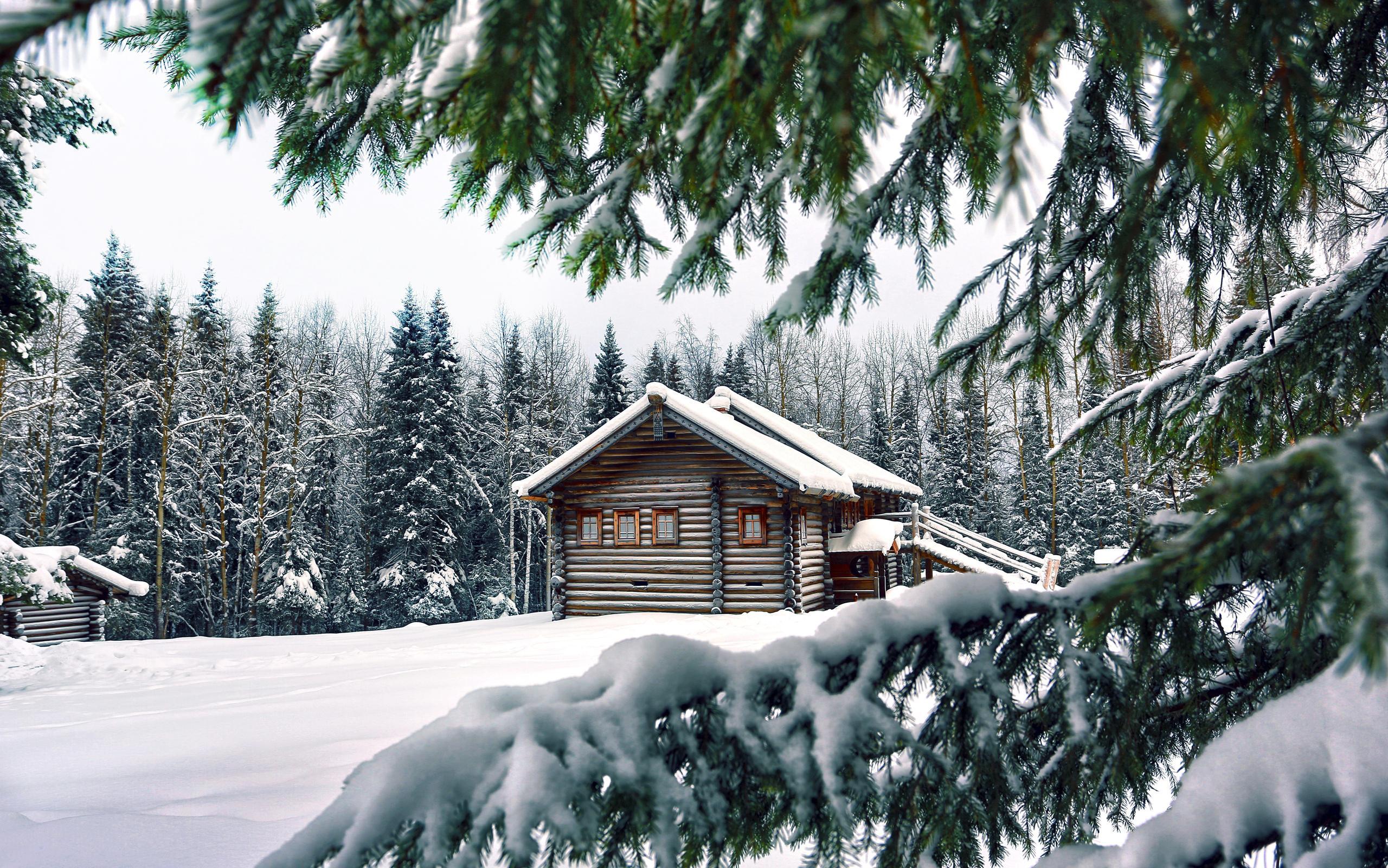 Snow winter house pine needles spruce trees wallpaper