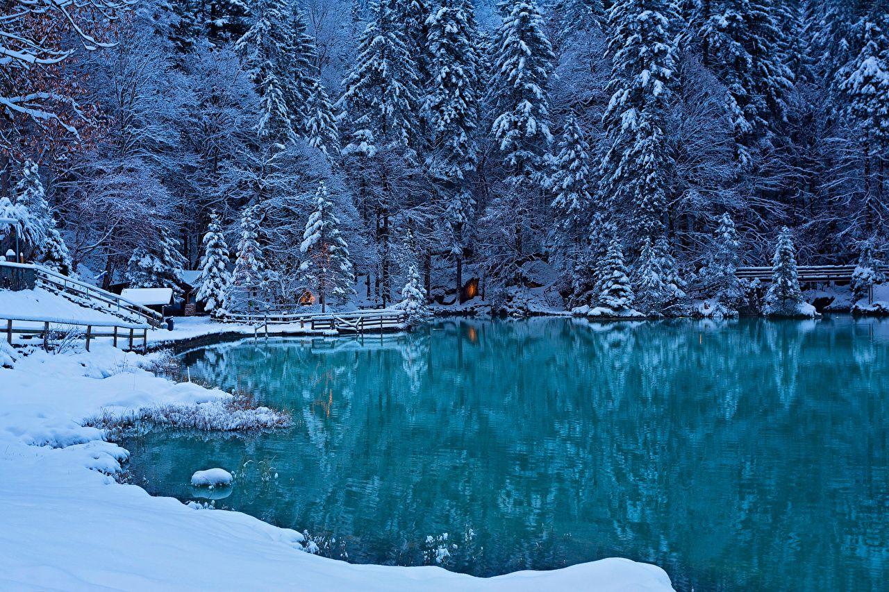 Wallpaper Switzerland Kander Valley Nature Spruce Winter