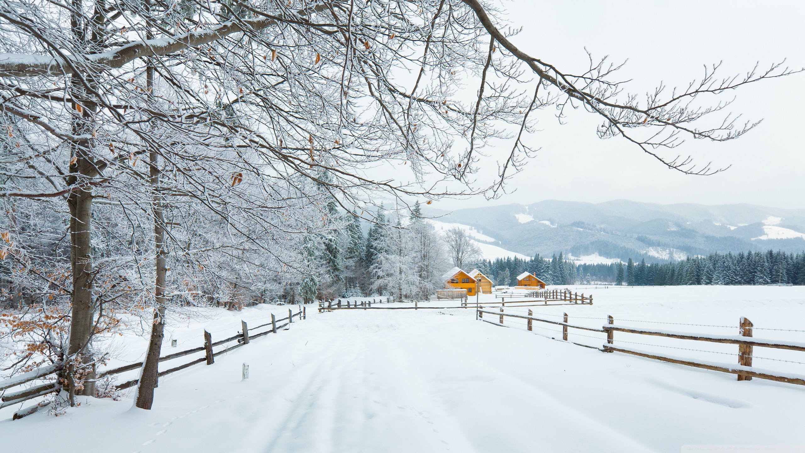 Winter In The Carpathians ❤ 4K HD Desktop Wallpaper for 4K