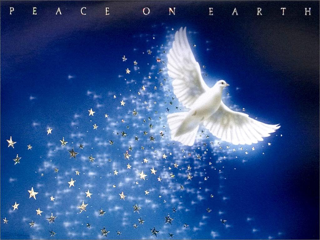 Christmas Dove Peace on Earth Christmas Wallpaper. Download