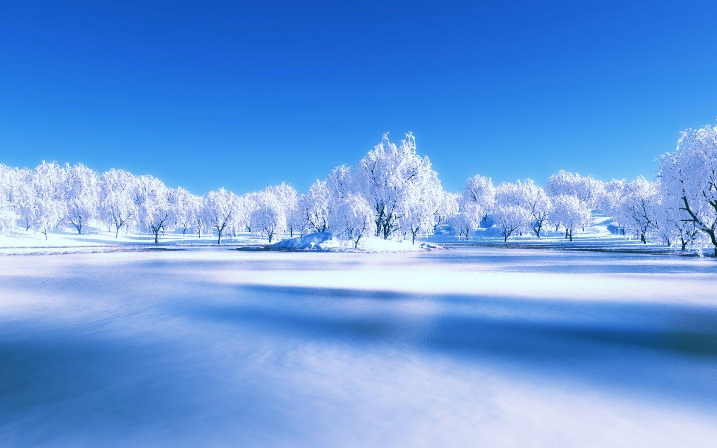 winter scenery. Winter Scene December White Wallpaper