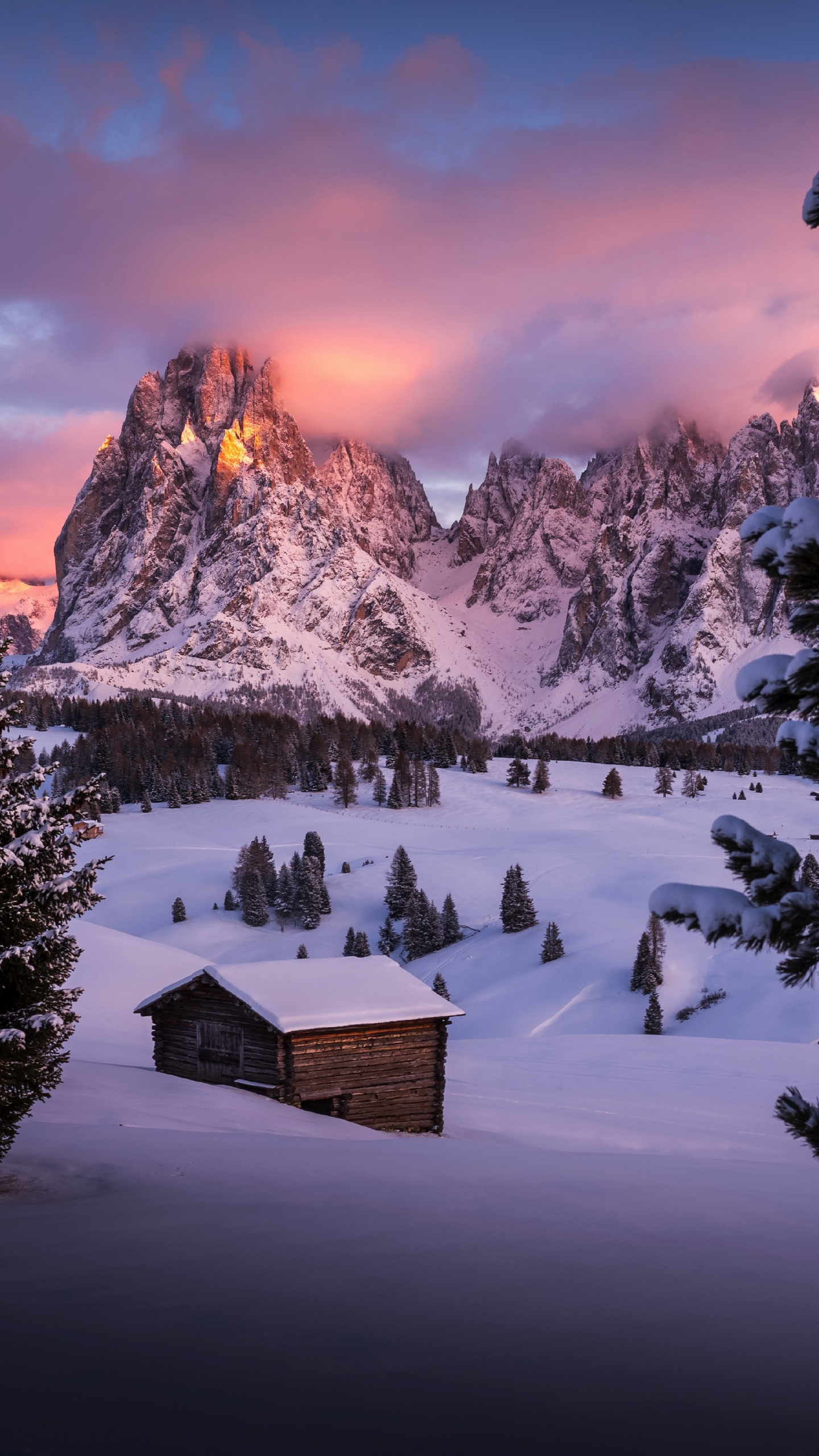 Download 1440x2560 wallpaper winter, cabin, landscape