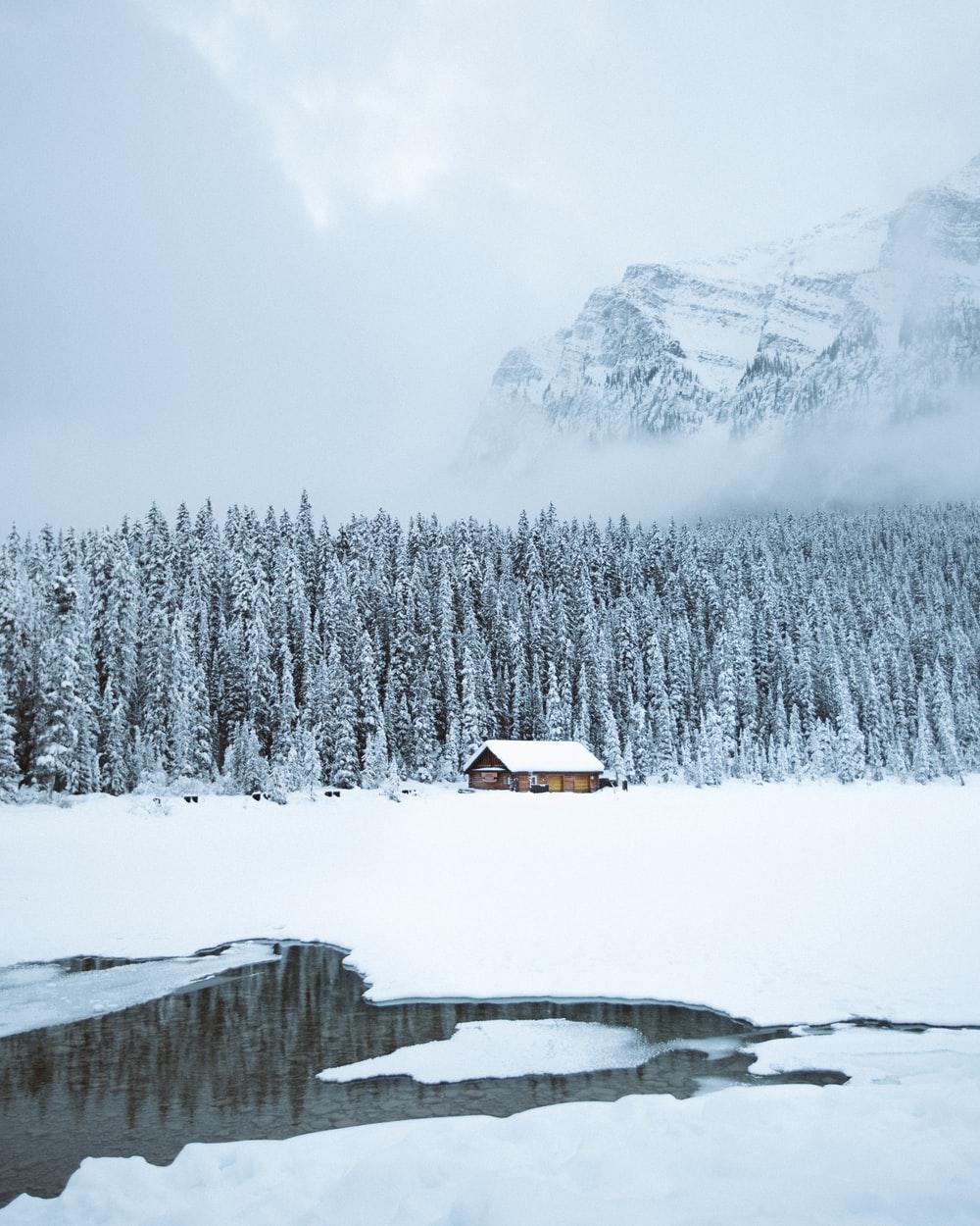 Winter Cabin Picture. Download Free Image