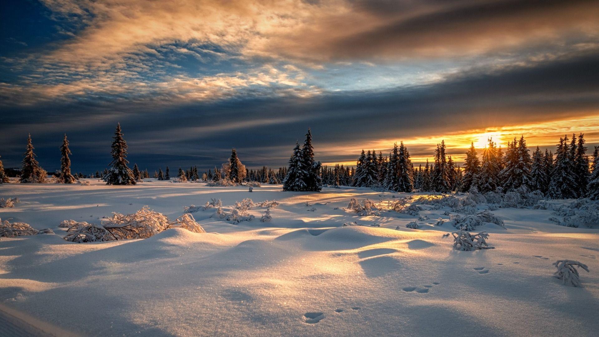 Download Wallpaper winter, forest, snow, sunset, Norway