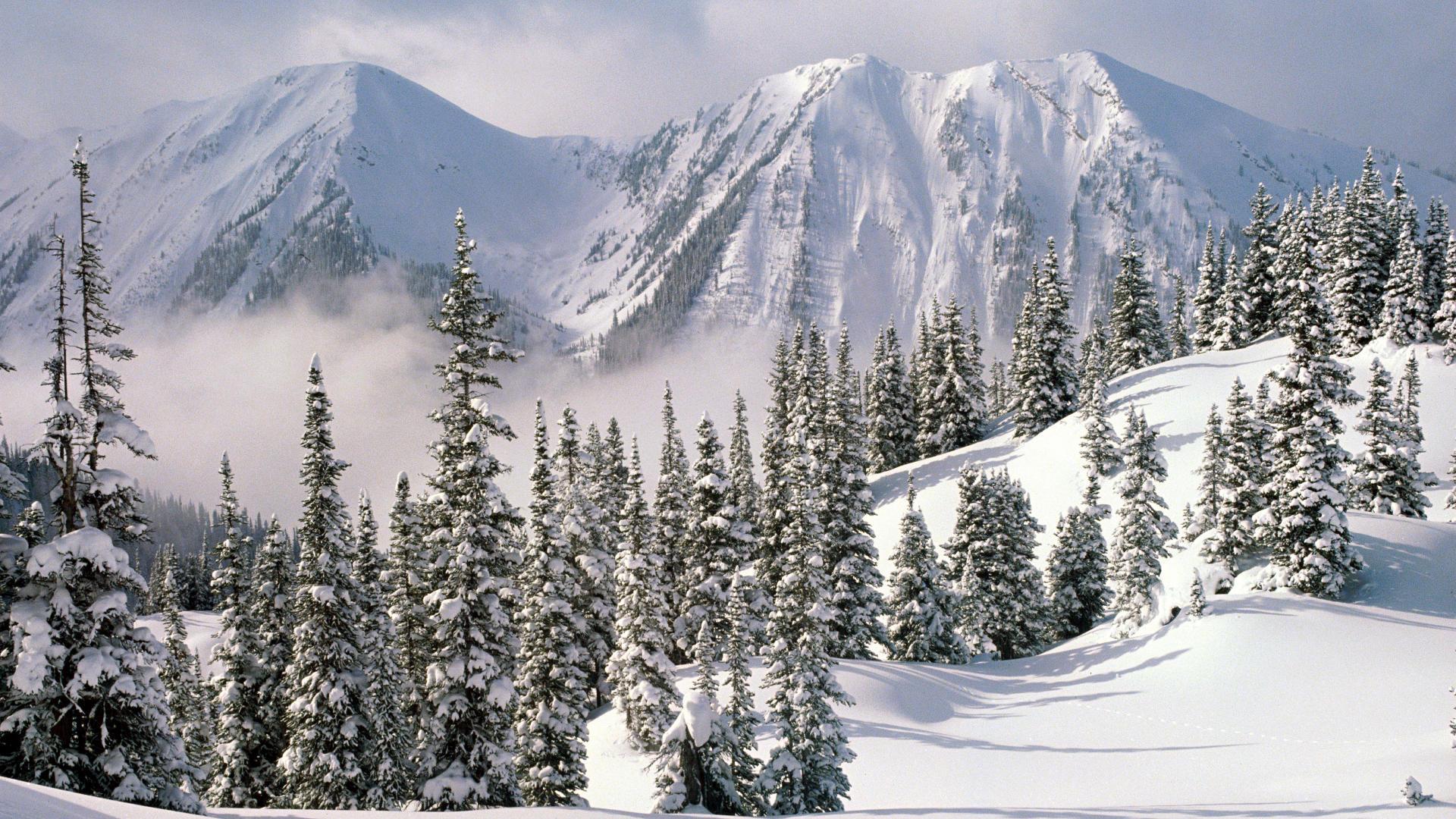 Winter, canada, columbia, british, wonderland, background, wallpaper, nature, landscape