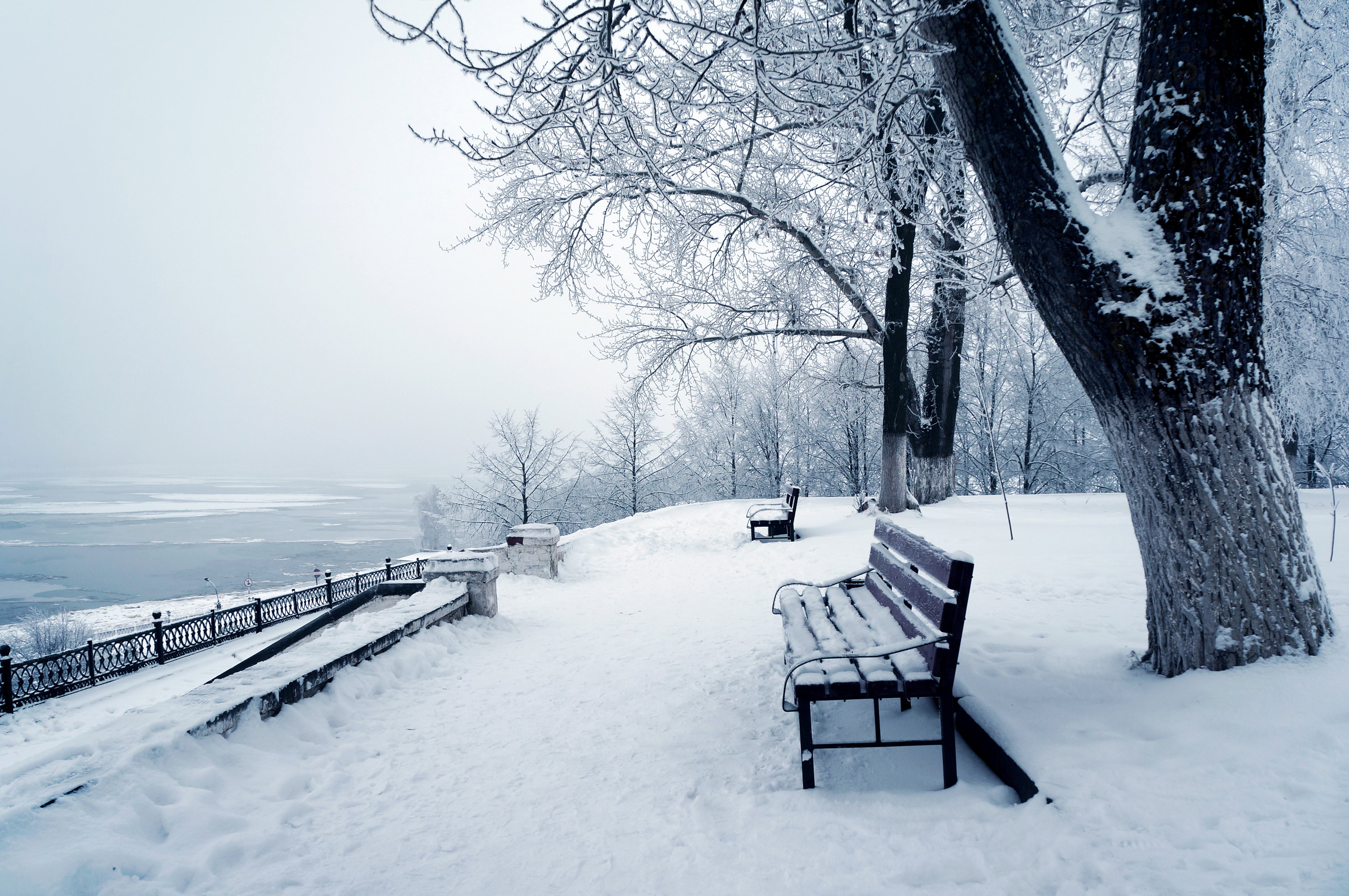 Seasons Winter Snow Bench Trunk tree Nature wallpapers