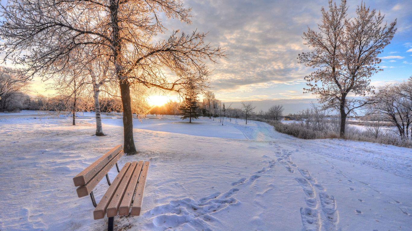 Wallpaper winter, snow, dawn, footprints, bench. Winter