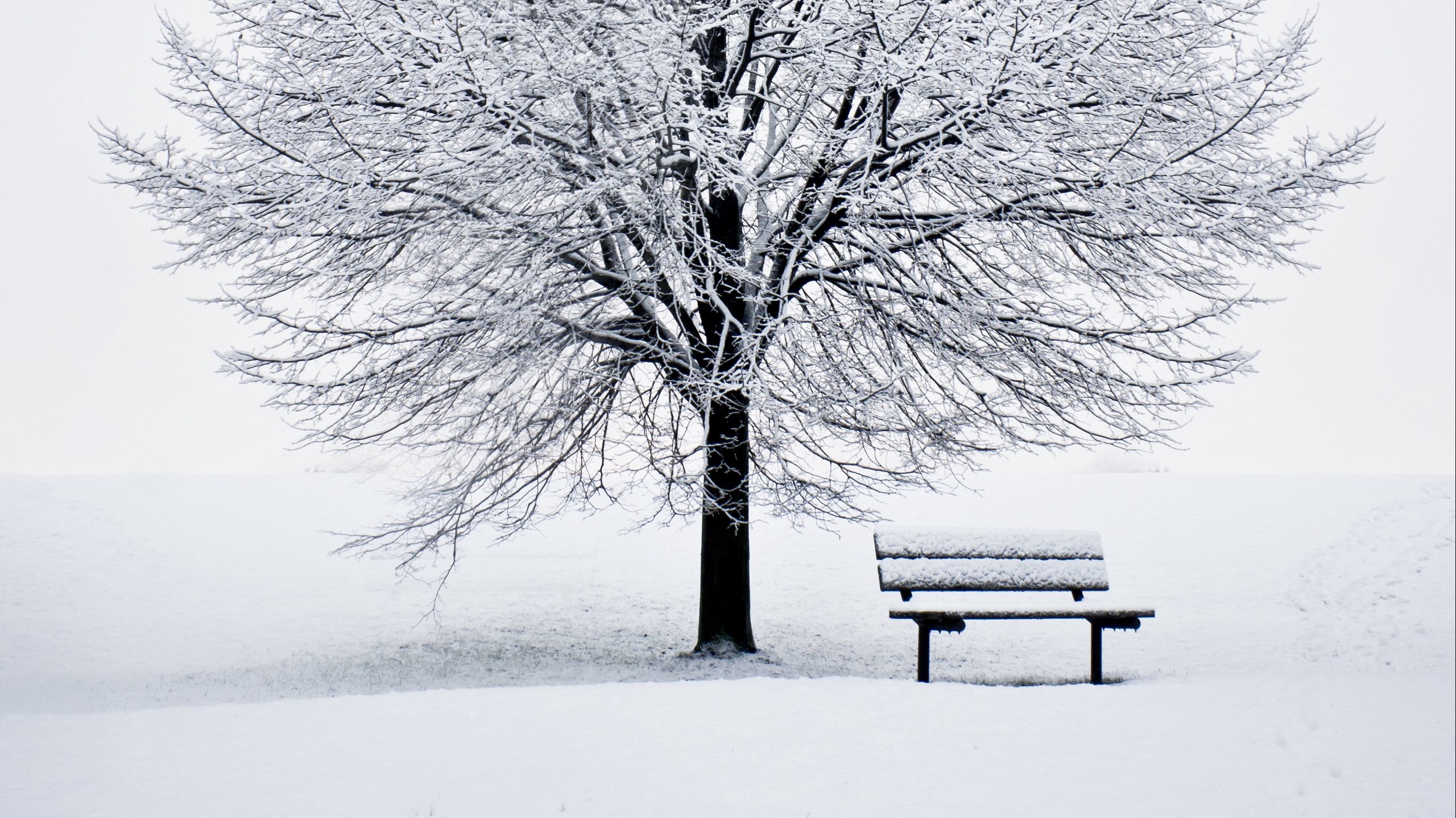 Download wallpapers 2560x1440 bench, snow, winter, wood