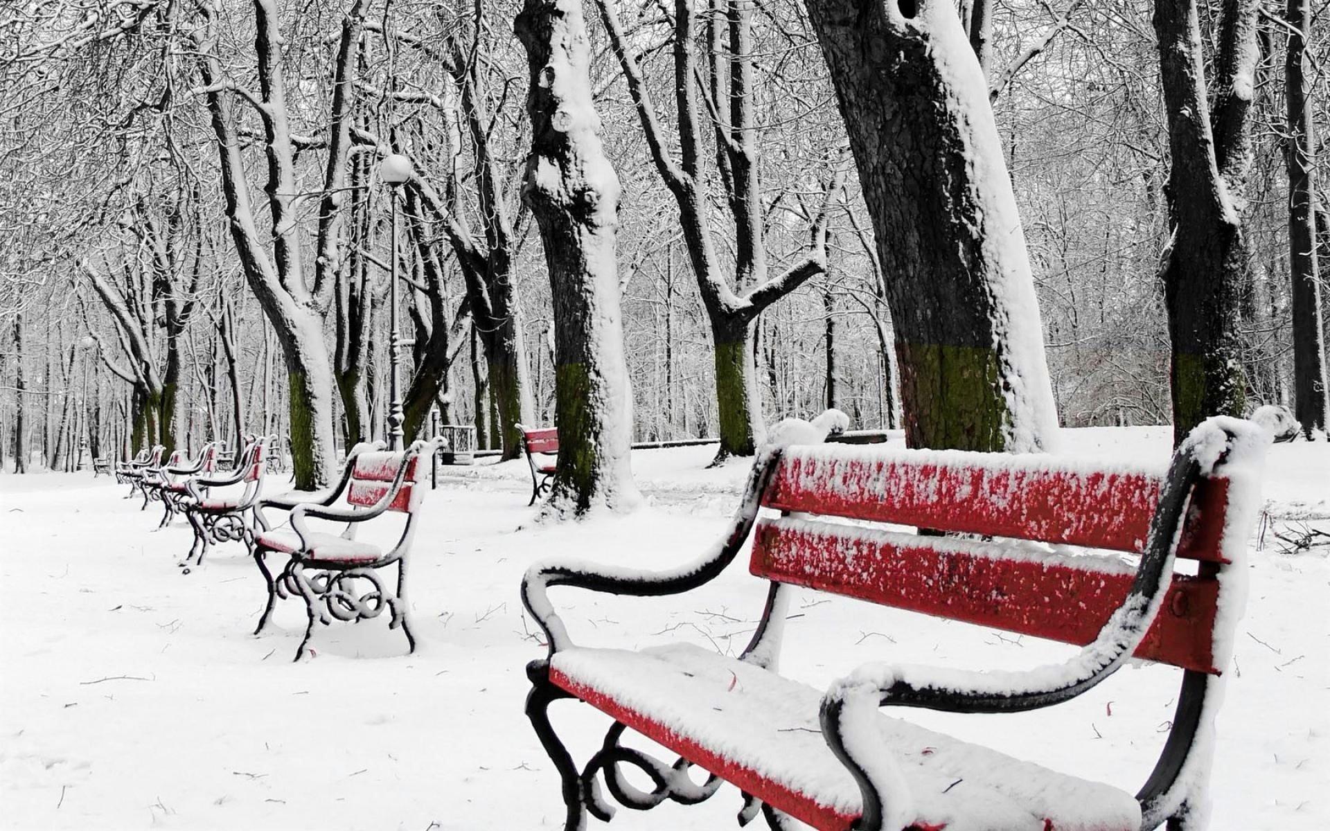 Benches in Snowy Winter Park HD Wallpapers