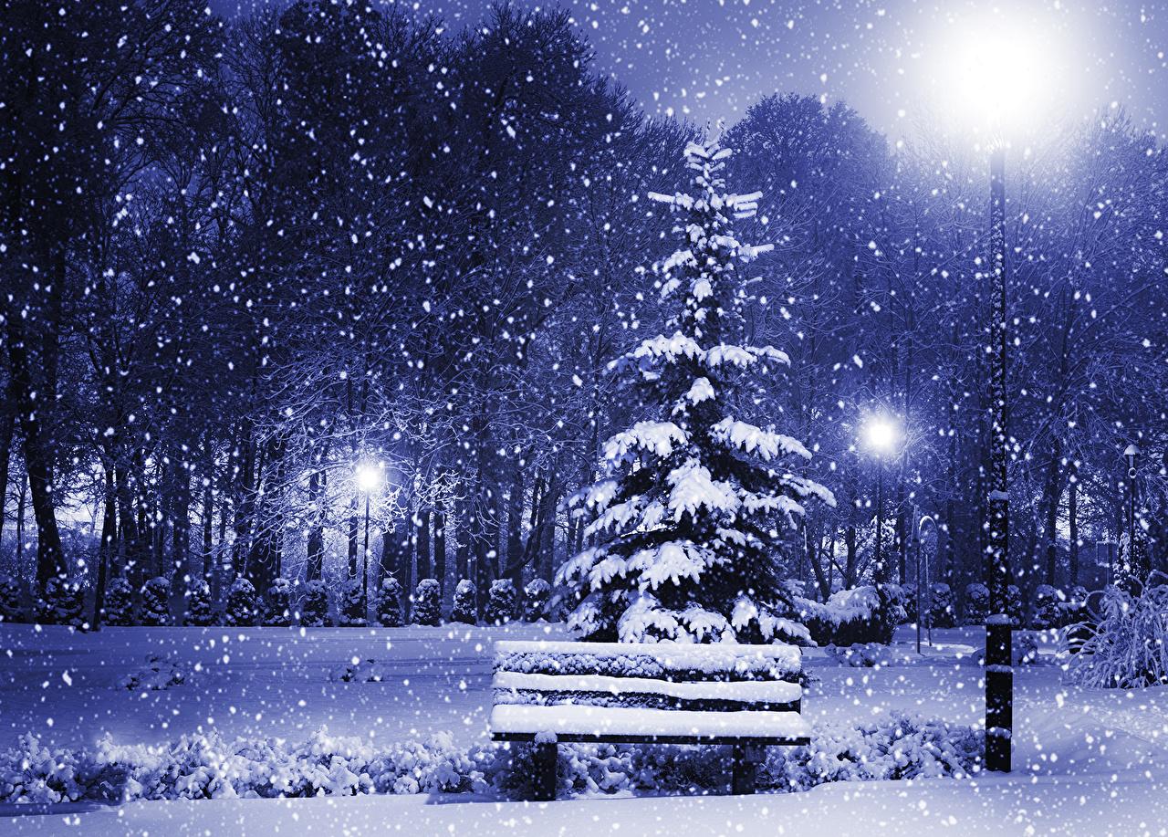 Desktop Wallpaper Nature Spruce Winter Snowflakes Night Bench