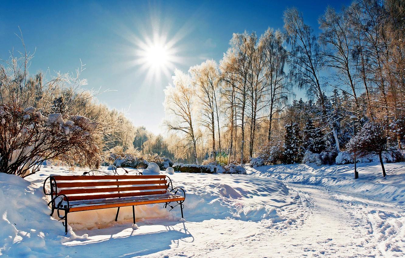 Wallpapers winter, forest, the sky, the sun, snow, landscape