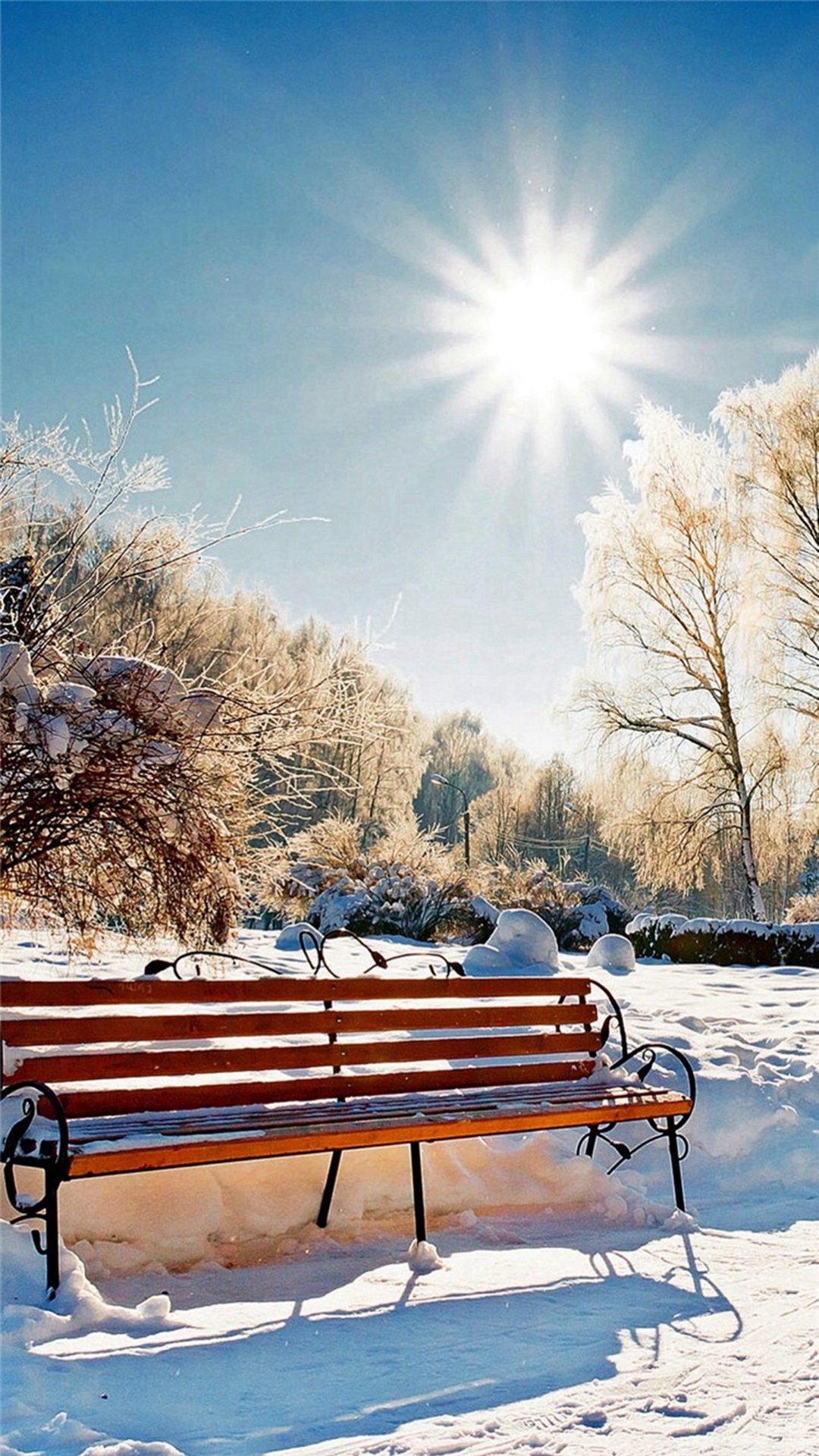 Winter Snowy Sunshine Bright Bench Park iPhone 8 Wallpapers