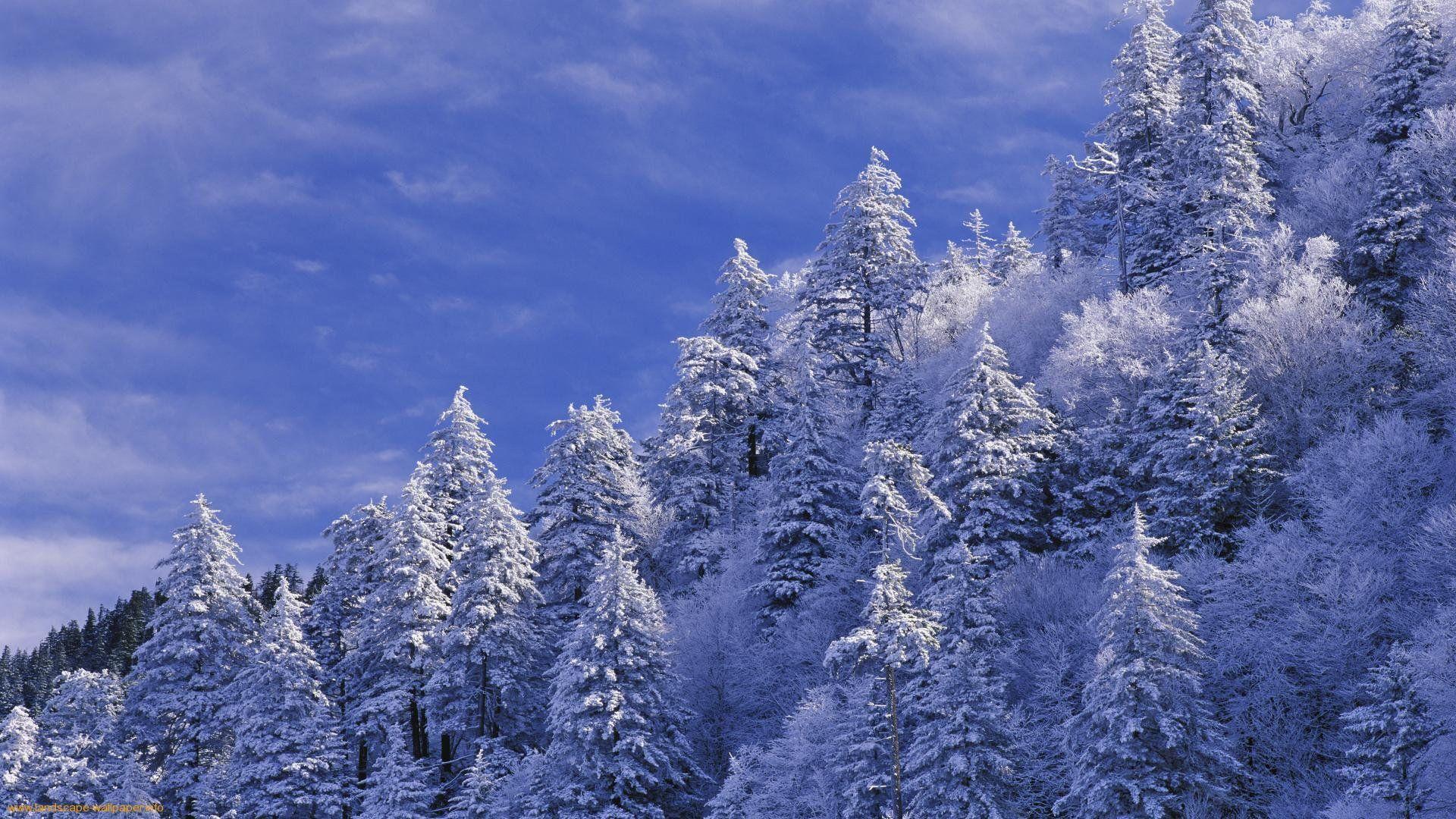 Smoky Mountains Winter Wallpaper