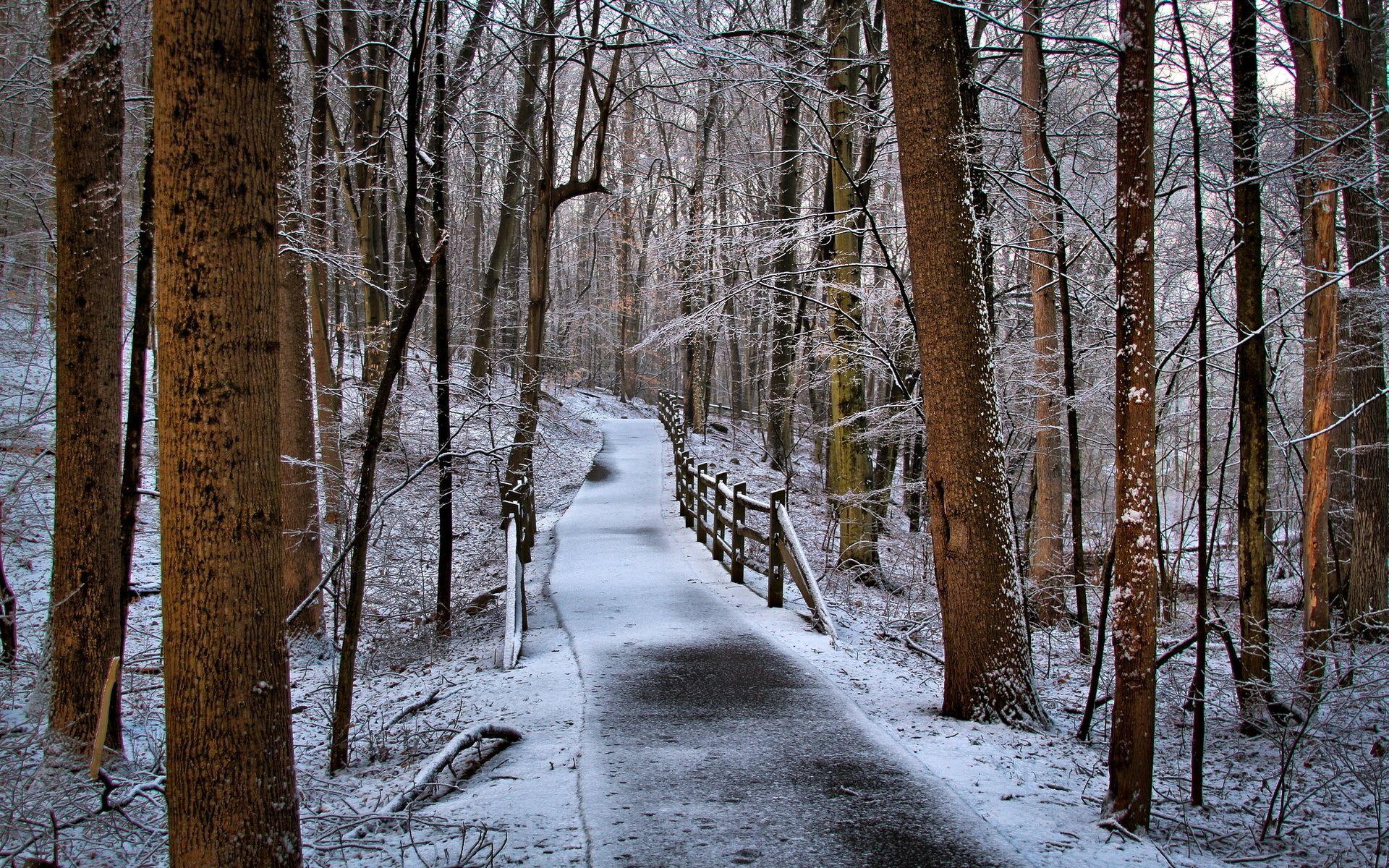 Winter Path Wallpapers - Wallpaper Cave