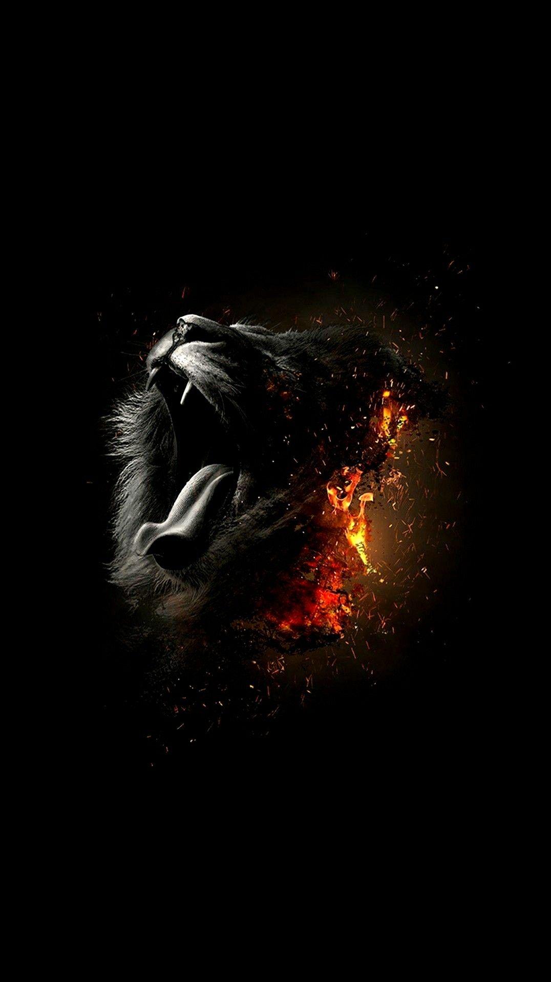 Black Lion iPhone Wallpapers - Wallpaper Cave