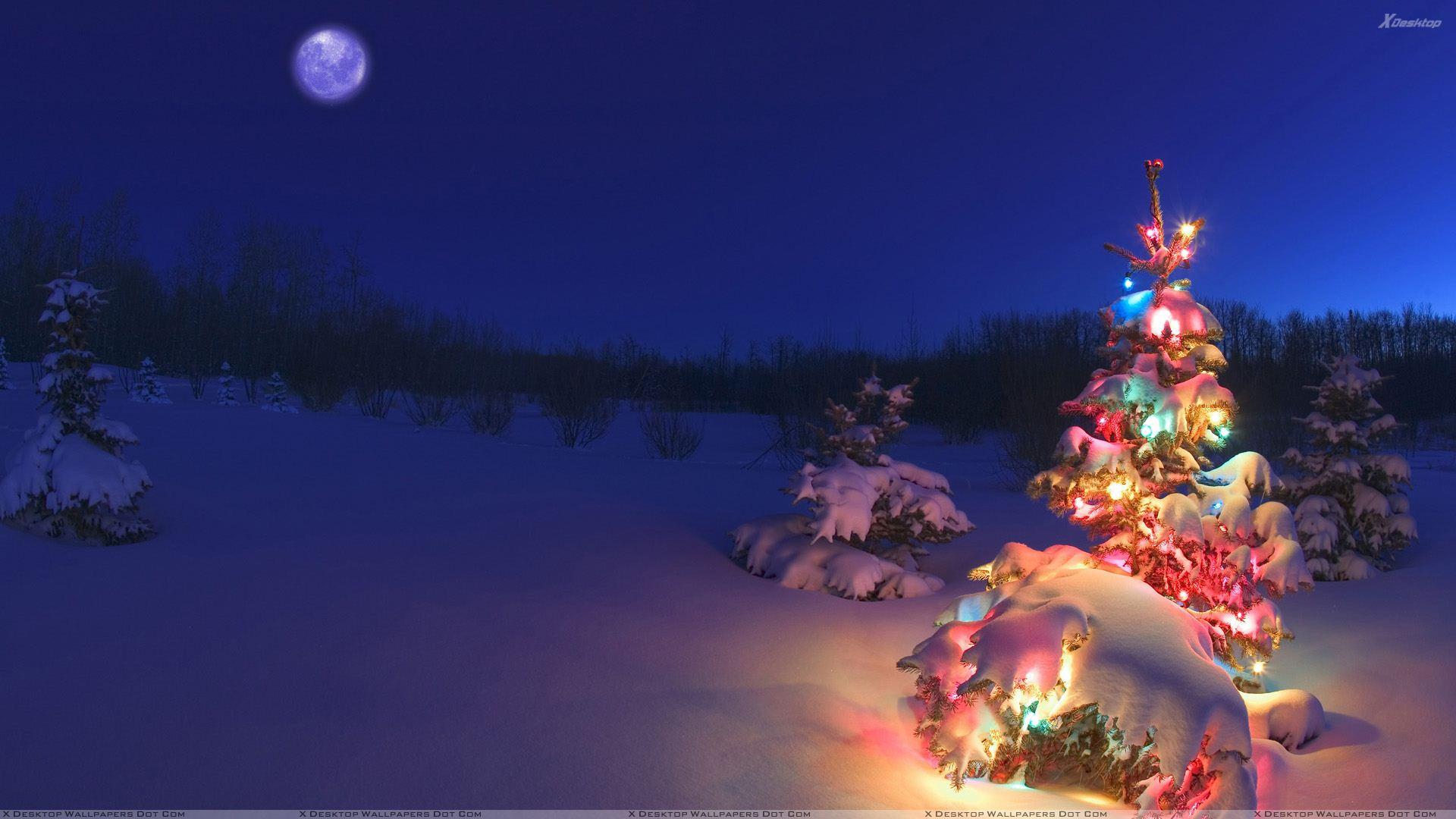 Lighting Christmas Tree In Snowfall Wallpaper