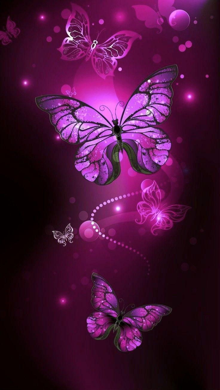 Midnight Purple Butterfly Wallpaper Free Midnight