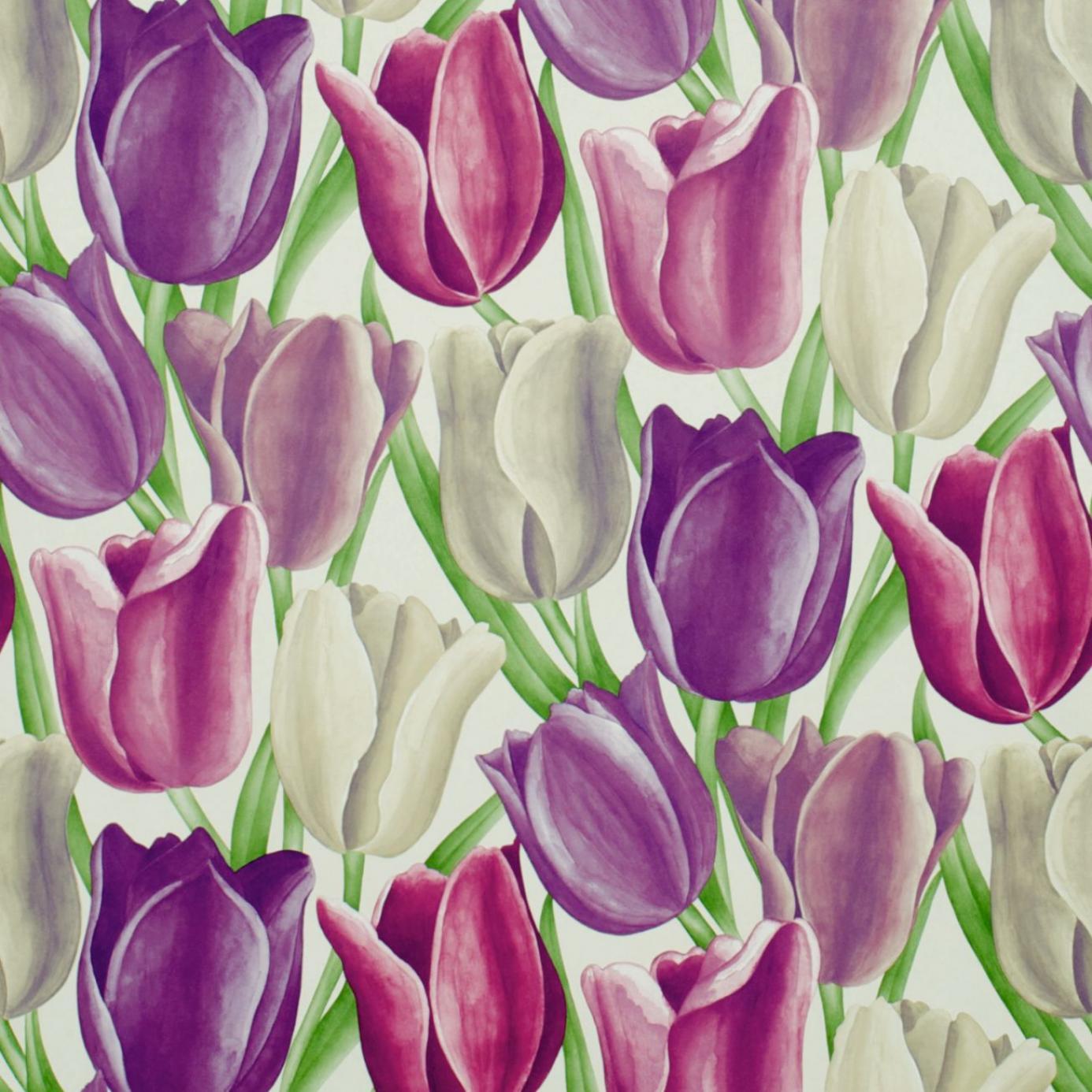 Sanderson Early Tulips Wallpaper PlumProduct Code: DVIWEA101