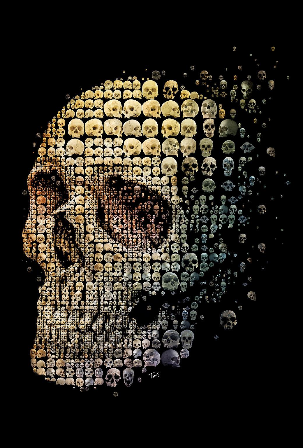 Skull iPhone Wallpaper Skull Art, HD Wallpaper