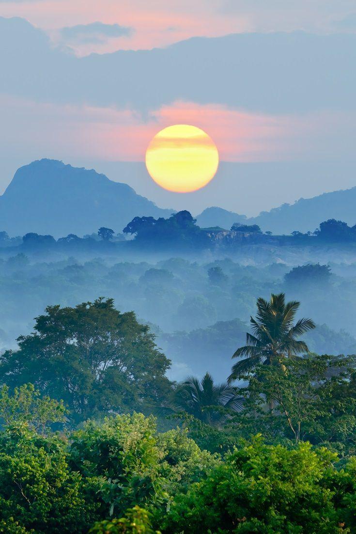 SriLanka sunrise over jungle. Nature, Landscape, World