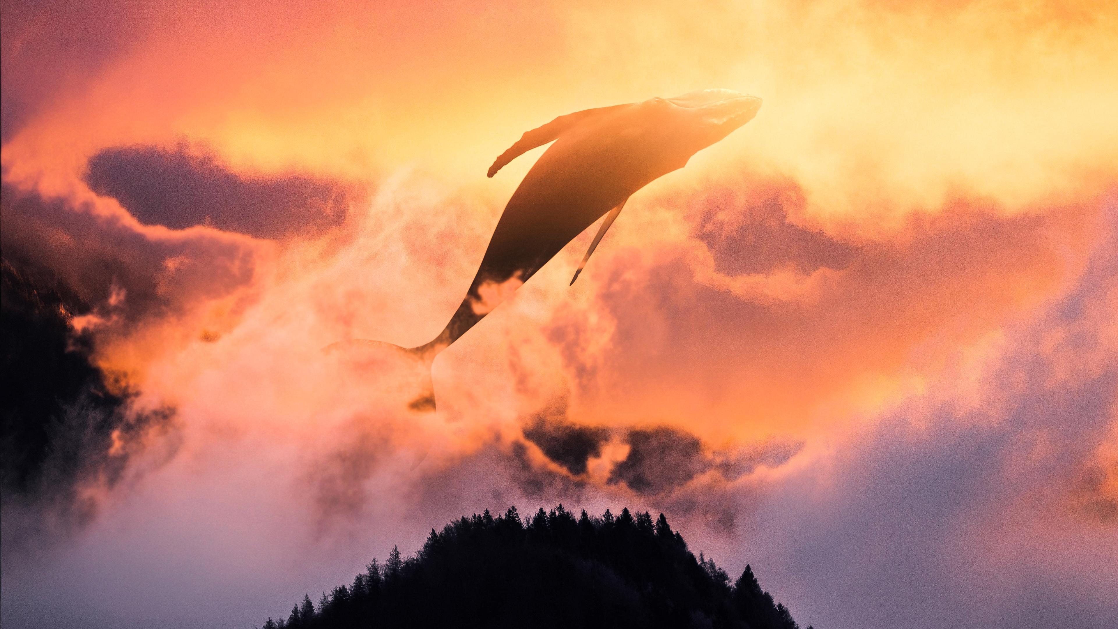 Surreal Sunset Whale 4K Wallpaper
