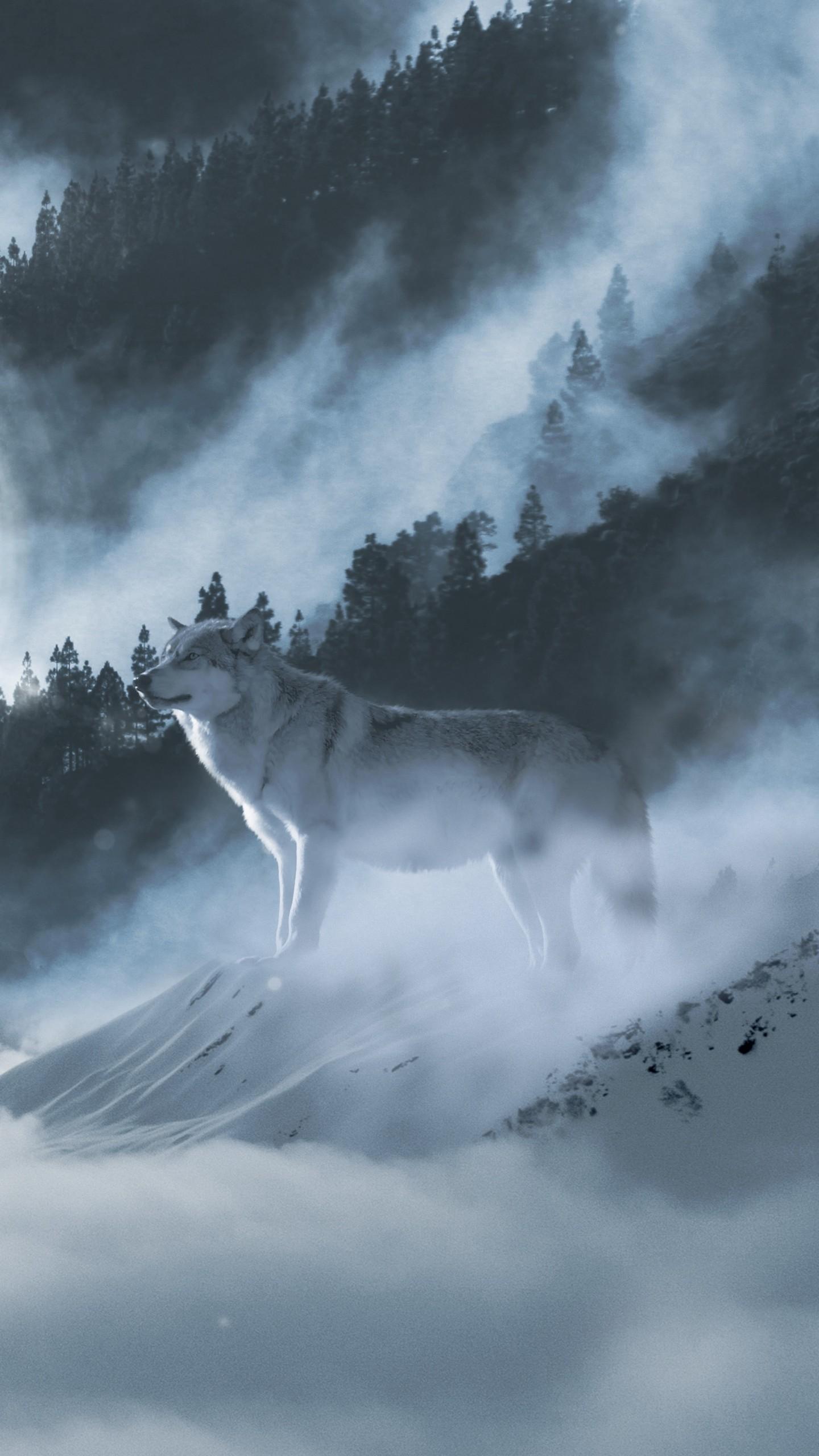 Wallpaper Arctic wolf, White wolf, Winter, Mountains, 4K