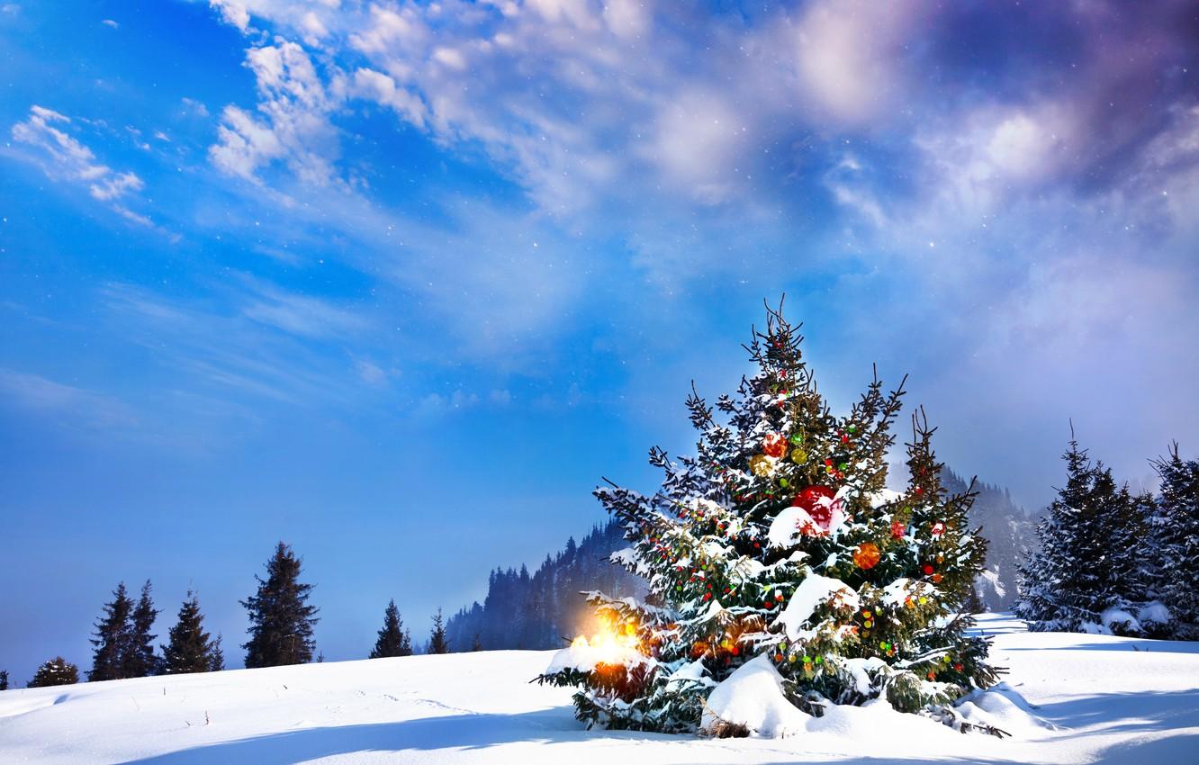 Wallpaper winter, snow, tree, New Year, Christmas, Christmas