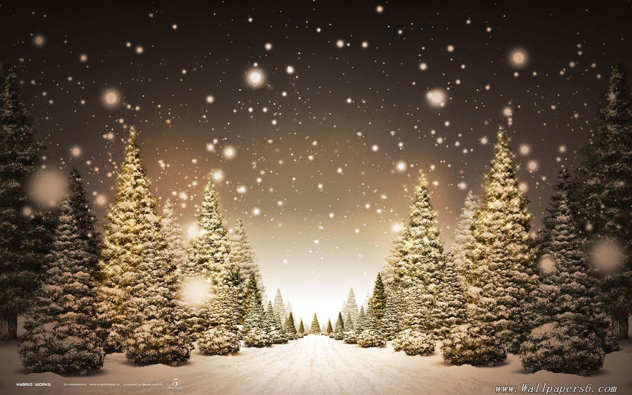 Free download winter snow christmas trees Landscape