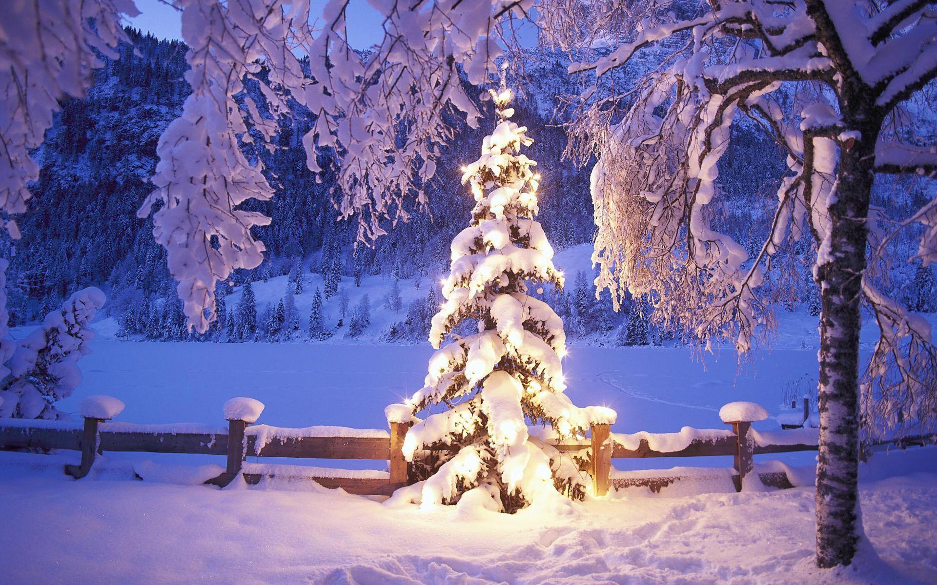 Christmas Lights and Snow Landscape Wallpaper