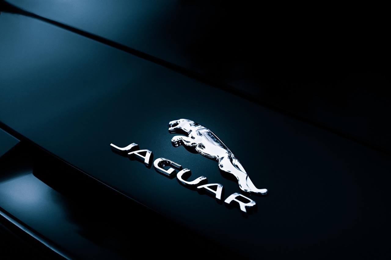 Jaguar Logo Desktop Wallpapers - Wallpaper Cave