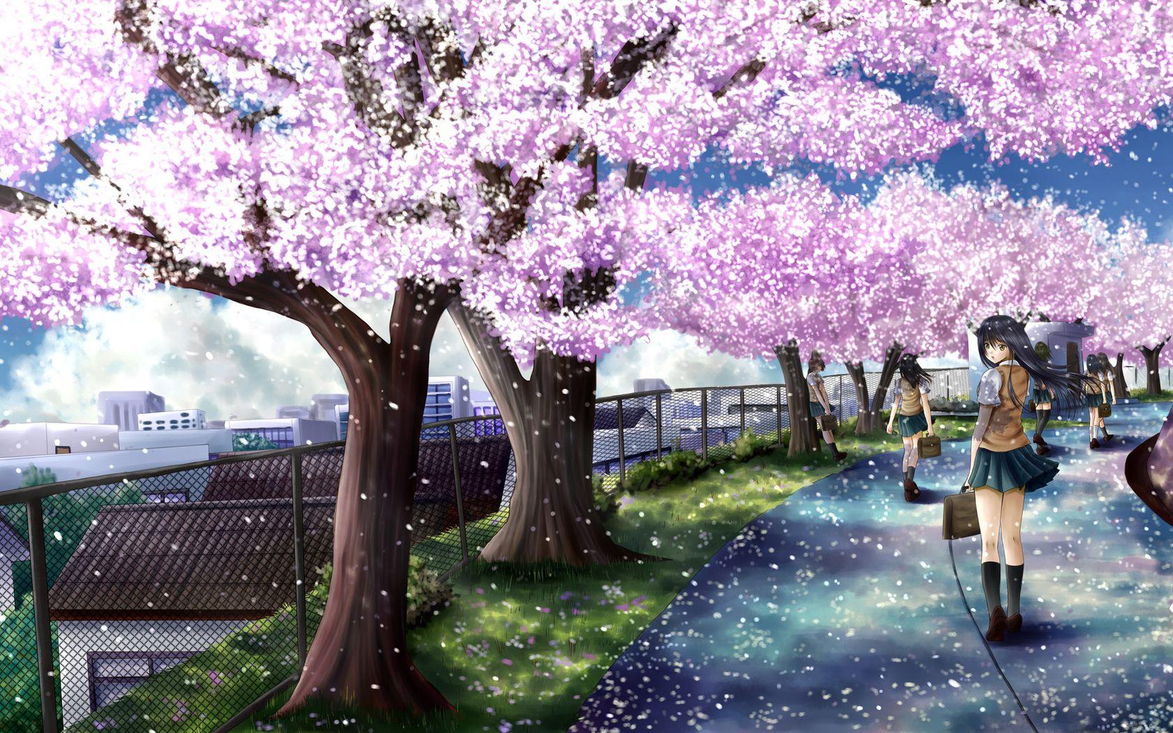 anime sakura tree. Anime cherry blossom, Anime scenery wallpaper, Anime scenery