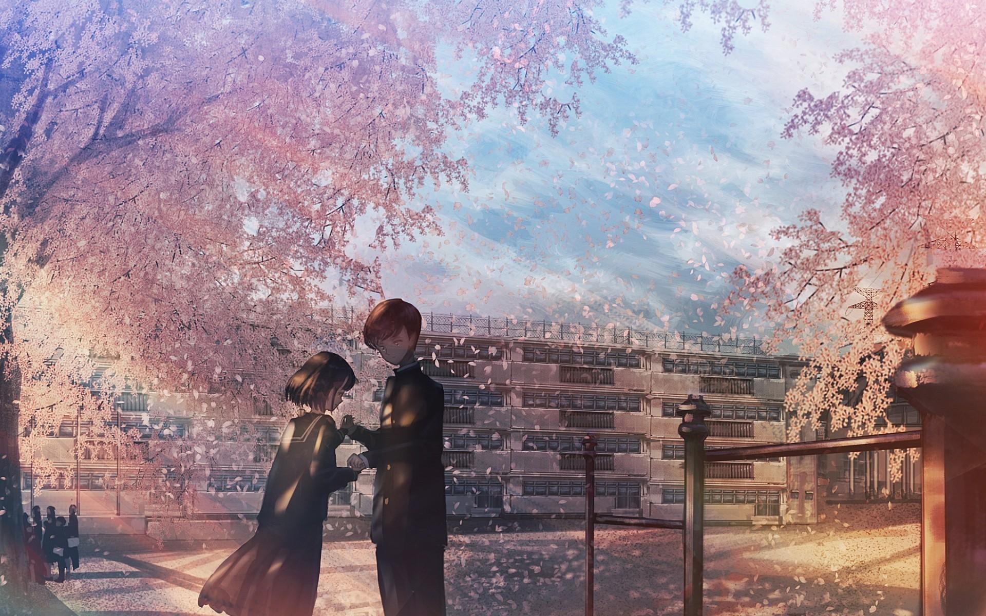 Anime Cherry Blossom Couple Hd Wallpapers - Wallpaper Cave