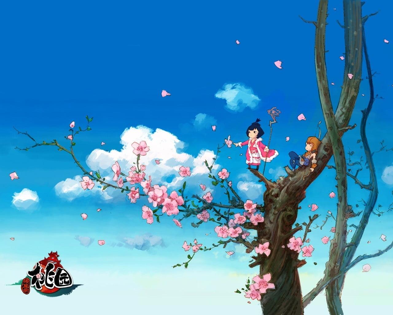 Two anime character playing on cherry blossom tree HD