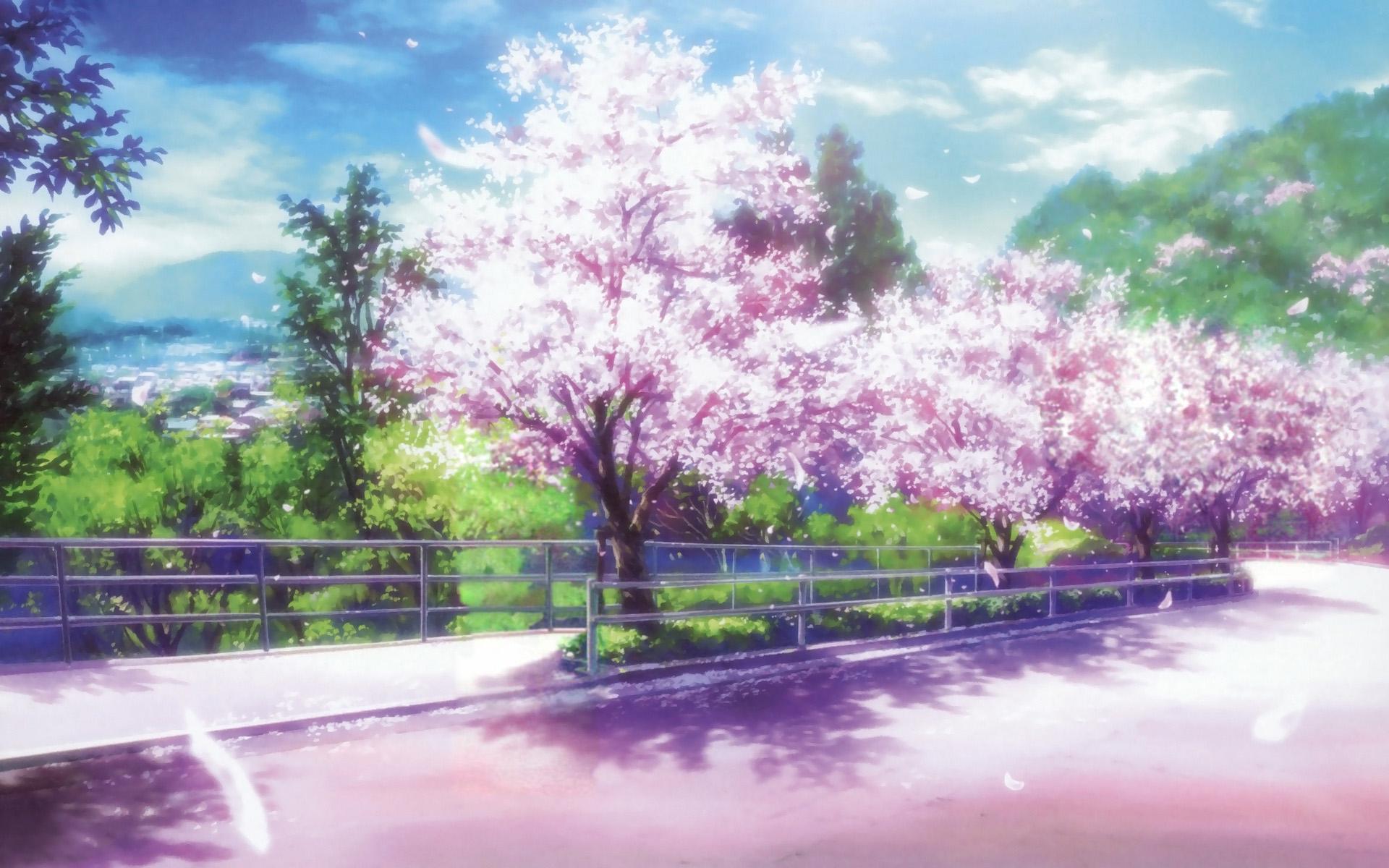 Anime Cherry Blossom Desktop Wallpaper Blossom