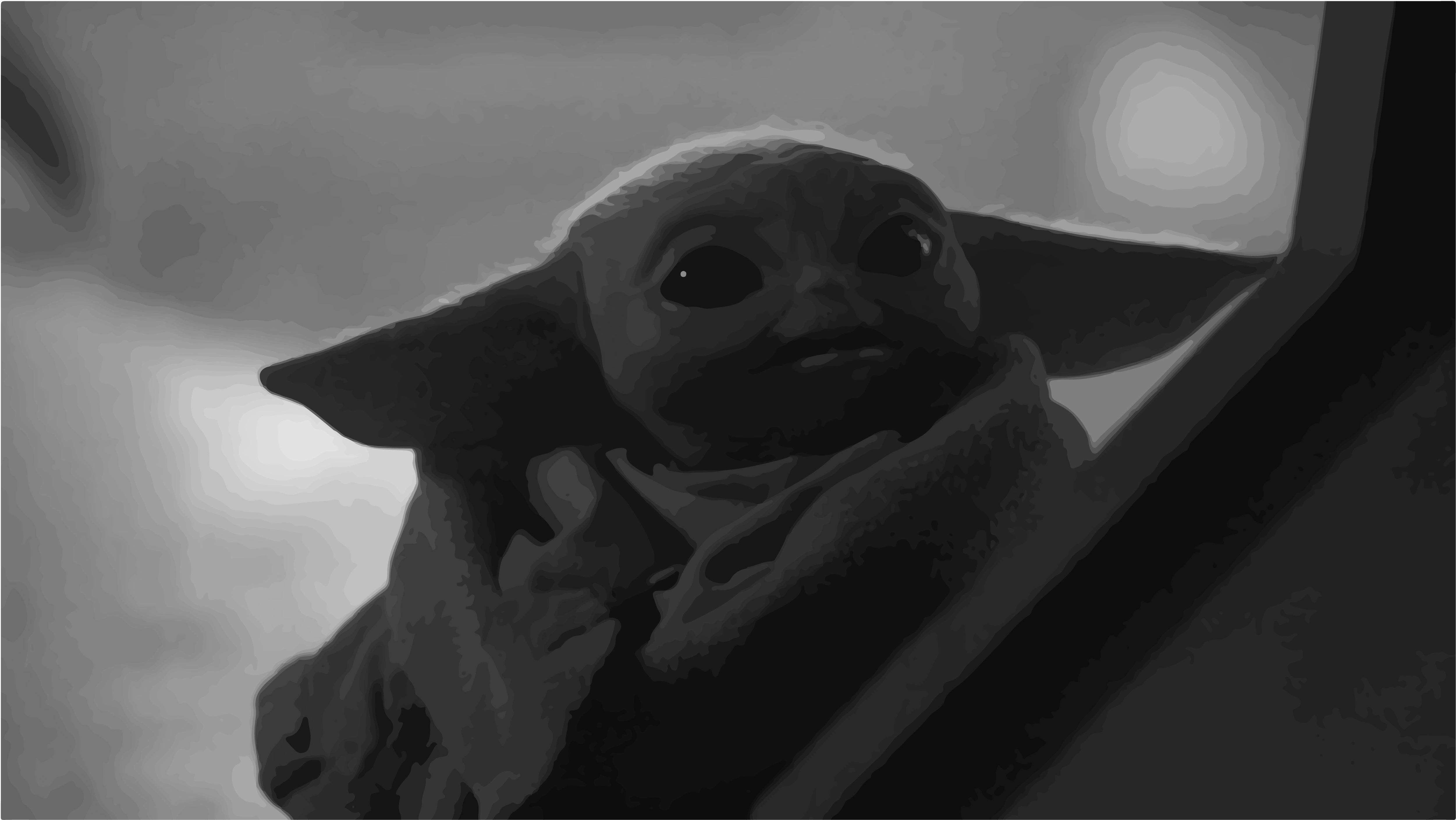 Baby Yoda 4K wallpaper