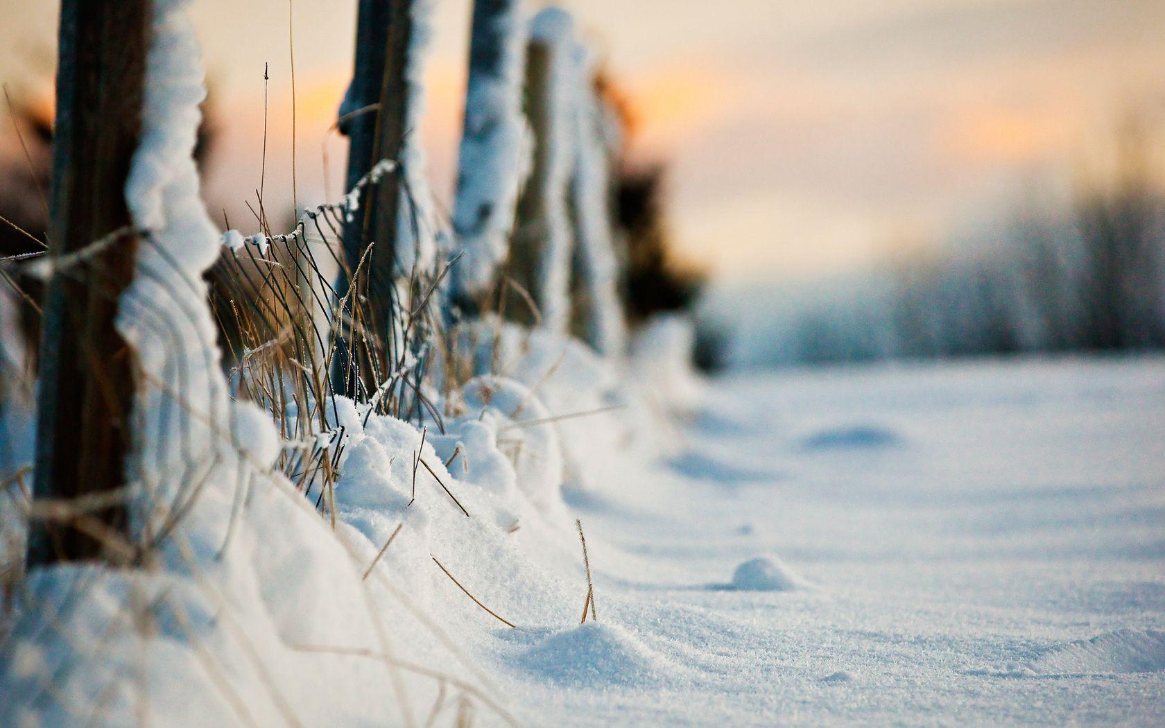 Winter Fence Wallpaper Free Winter Fence Background