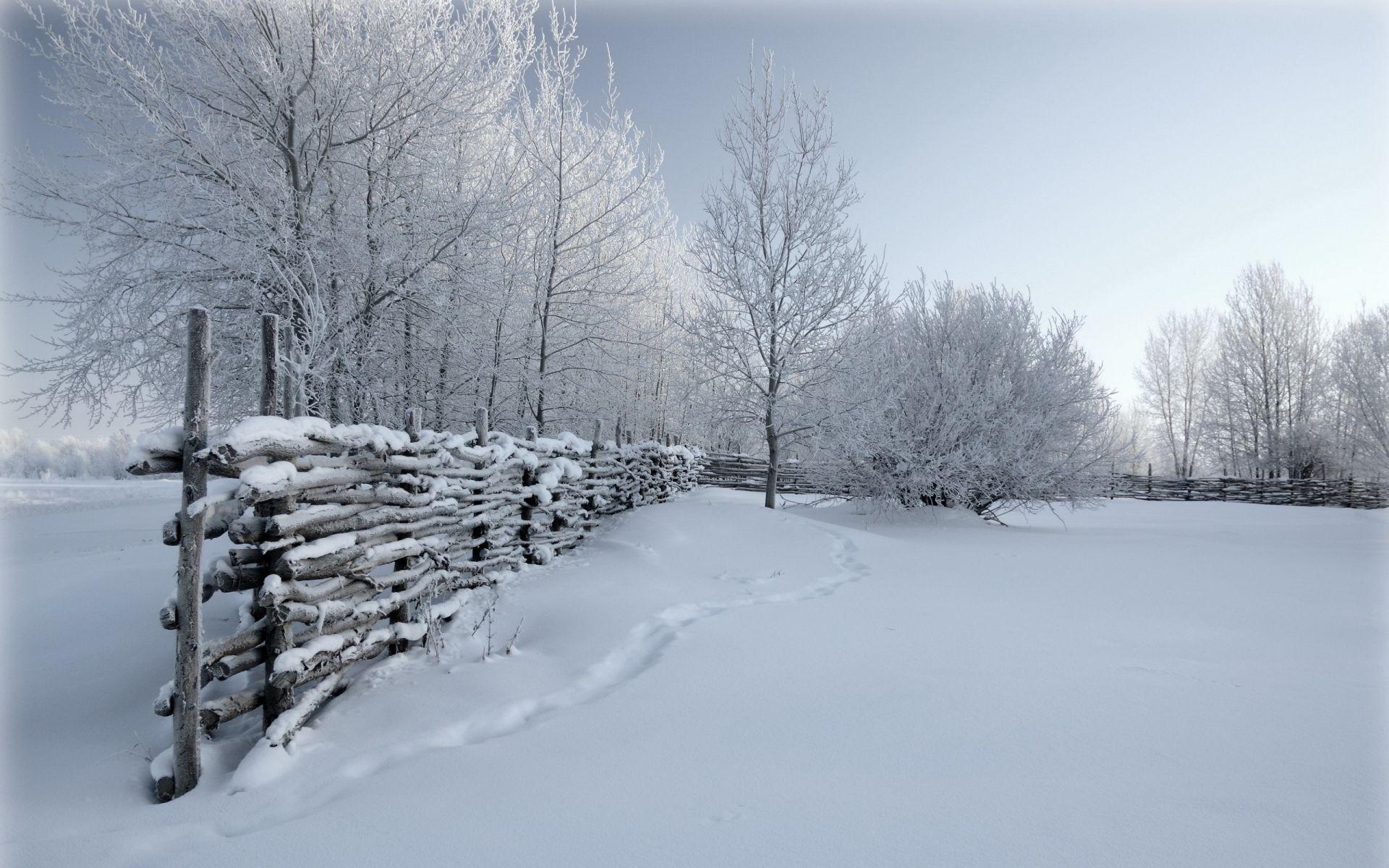 Nature snow Winter fence