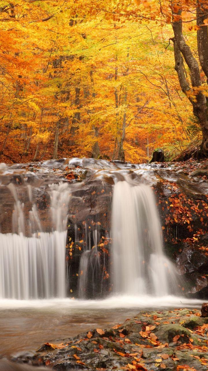 720x1280 Wallpapers autumn, wood, leaf fall, falls, cascades