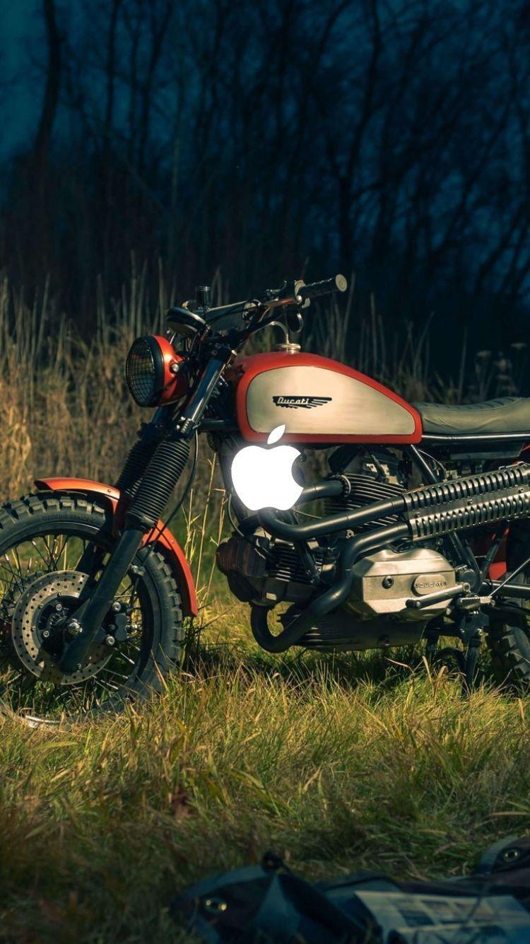 Ducati Scrambler, Scrambler Motorcycle, Motorcycles