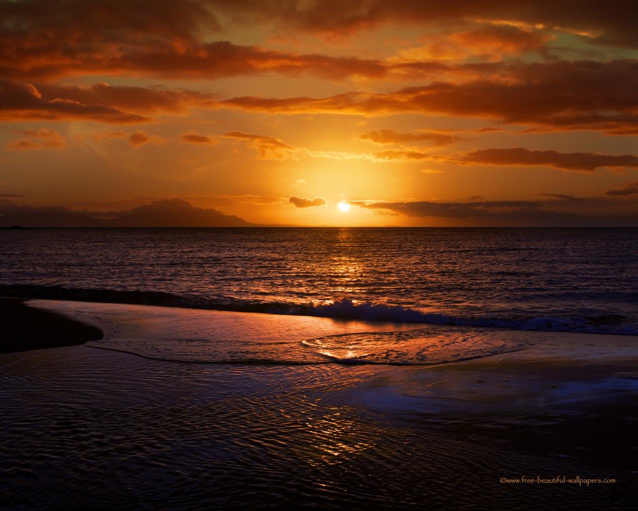 Free download ocean sunset scotland wallpaper with palm