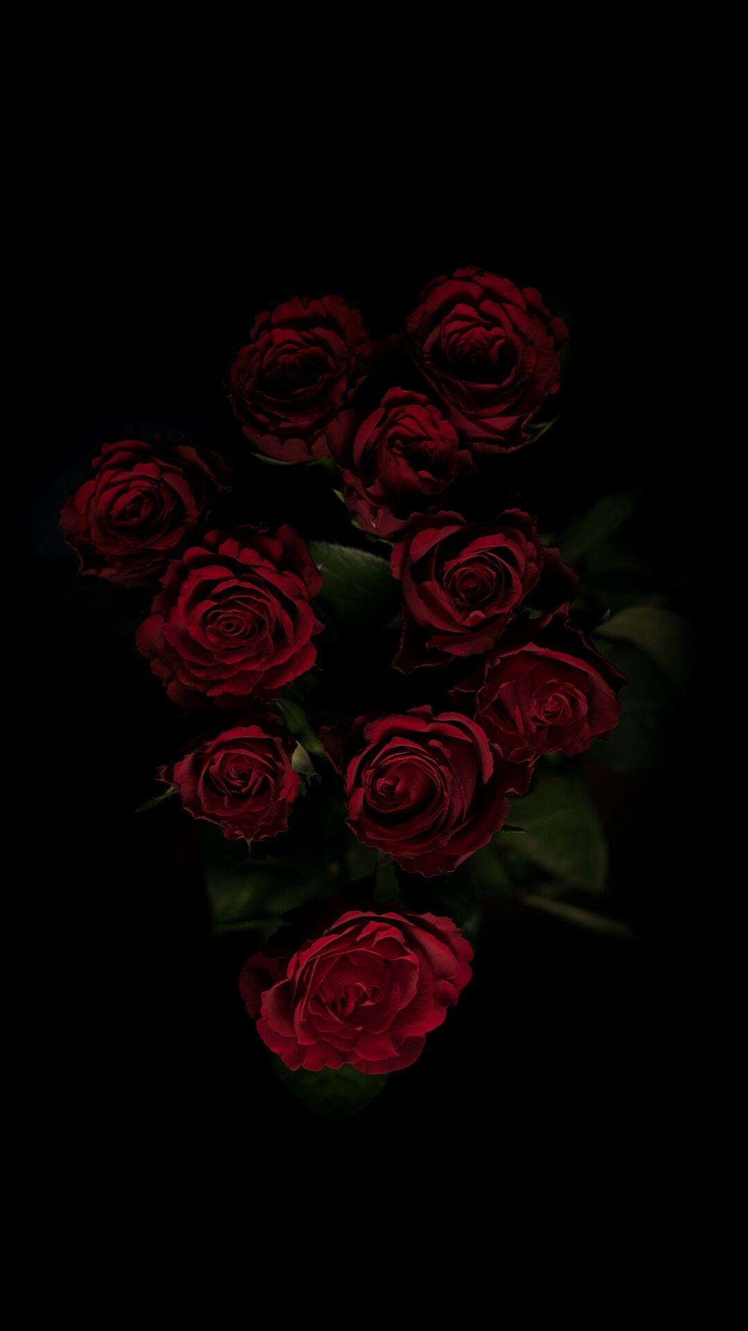 Black rose. Nature iphone wallpaper, Rose wallpaper, Black