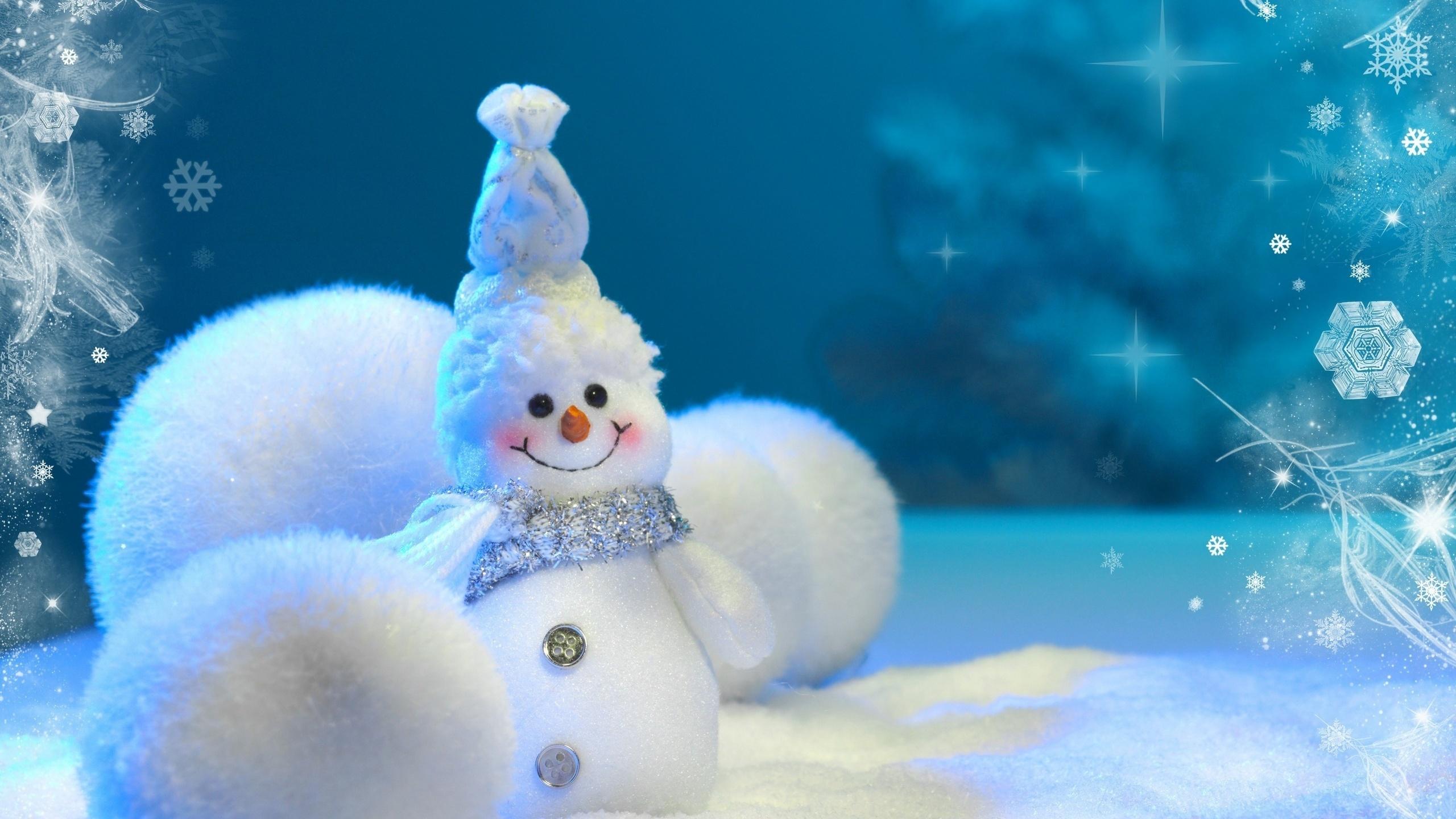 Free download Cute Blue Snowman Wallpaper 2560x1440 885833