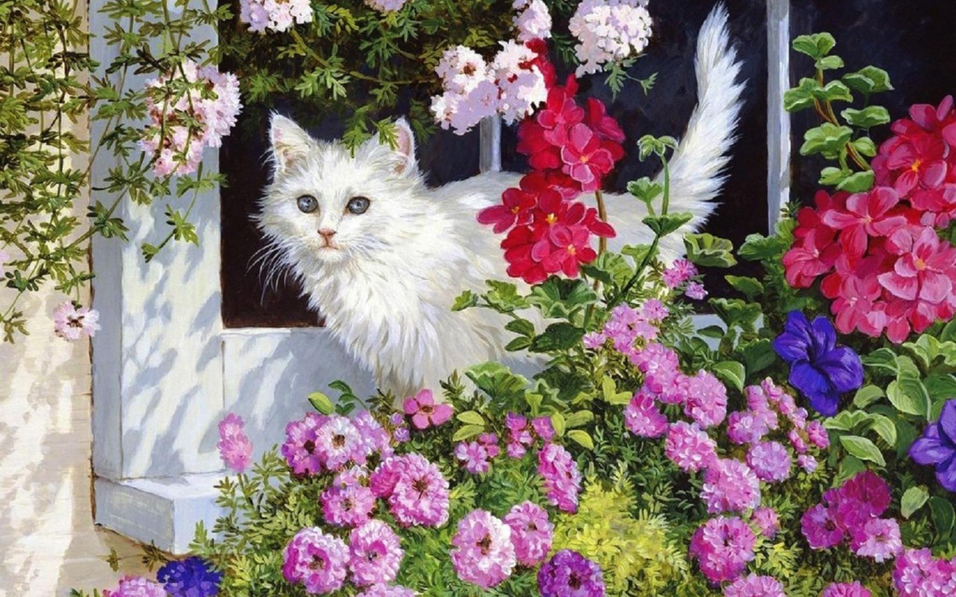 relaxing wallpapers hd flowers cat