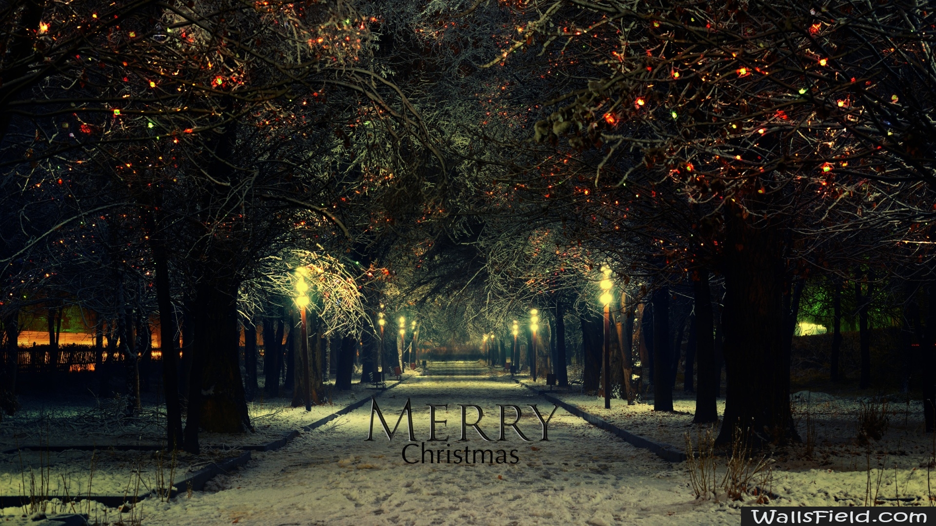 Merry Christmas Night.com. Free HD Wallpaper