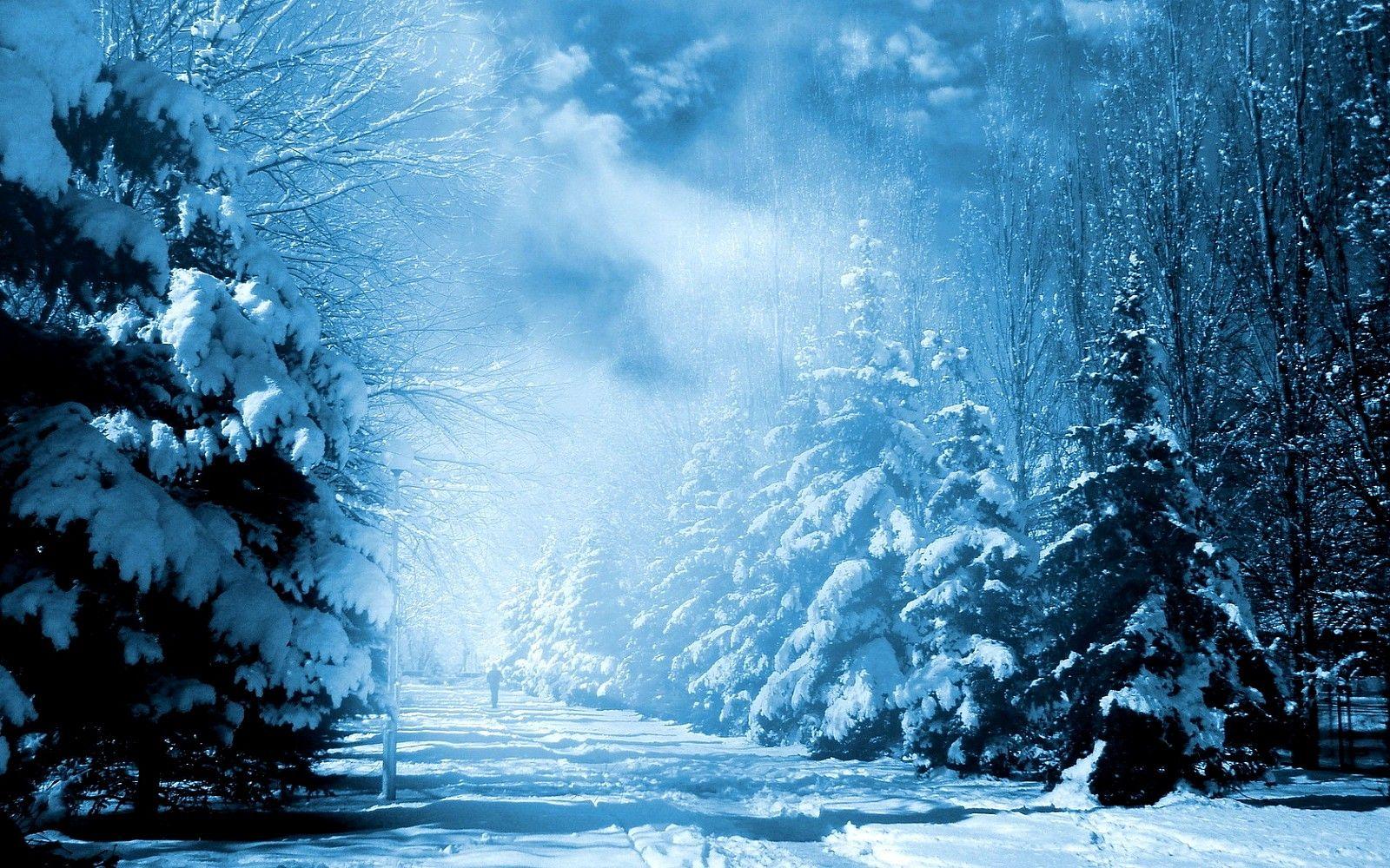snow fantasy. Fantasy HD Picture Winter Snow And Fantasy