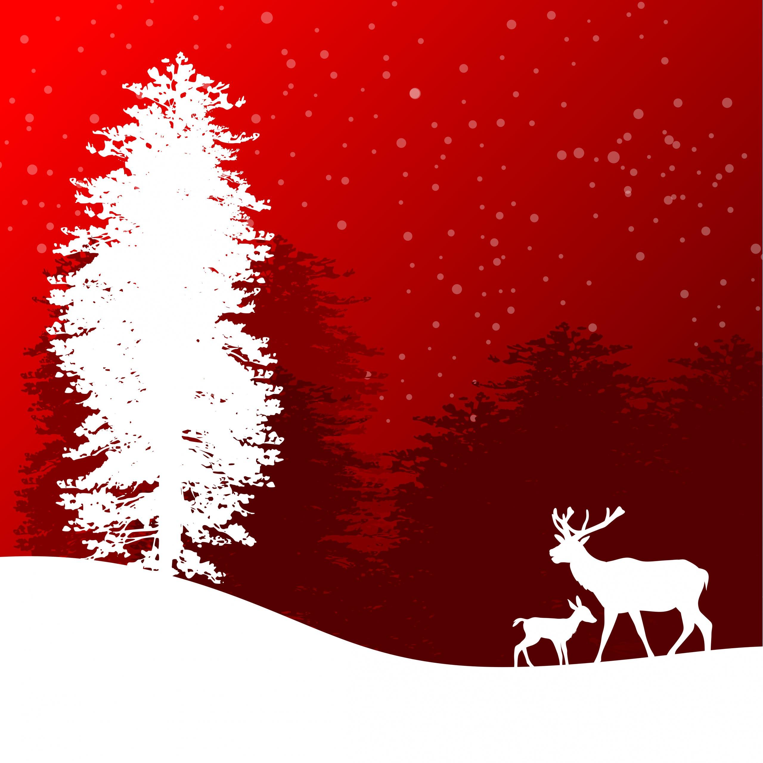 HD Christmas Card 211120193 Wallpaper