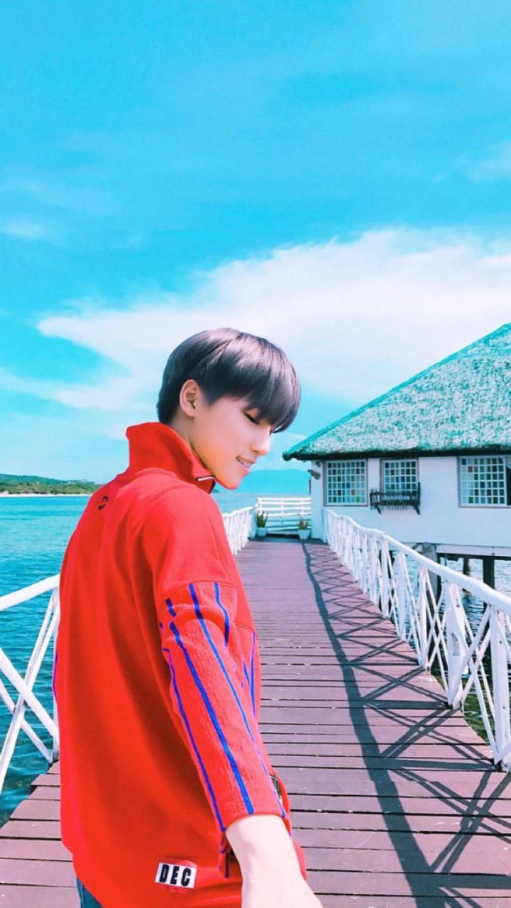 Dino Seventeen Wallpapers Wallpaper Cave