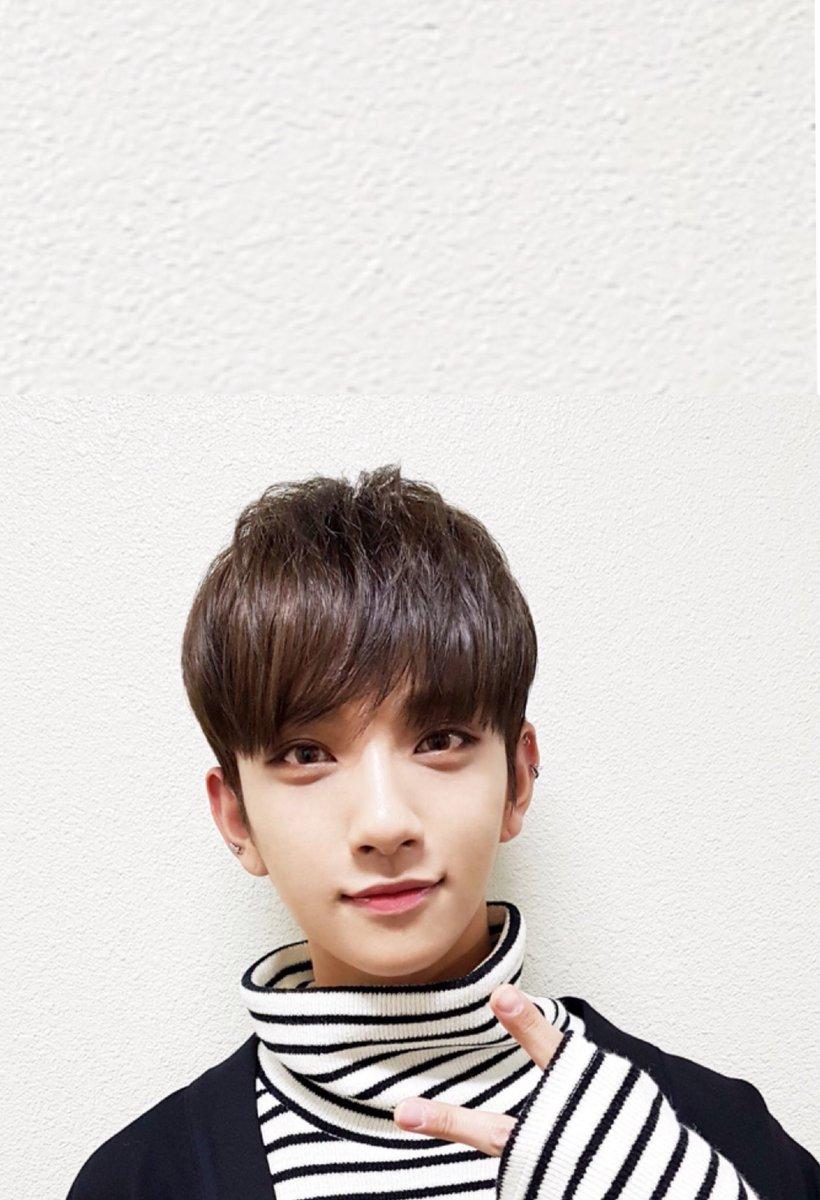 Dino Seventeen Wallpapers Wallpaper Cave